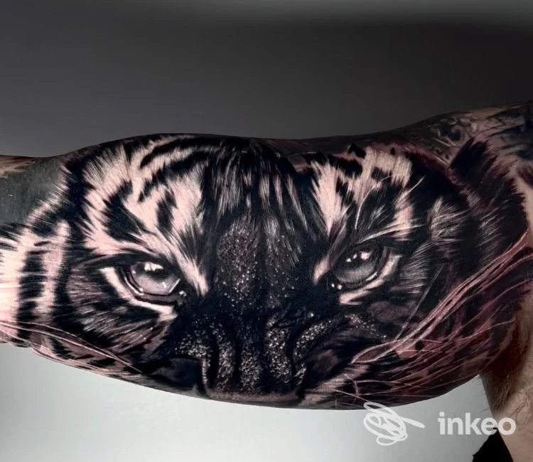Primo piano di tatuaggio realistico di tigre sull'avambraccio, lavoro fotografato per Eternal Tattoo Studio by Silvano Fiato, Genova.