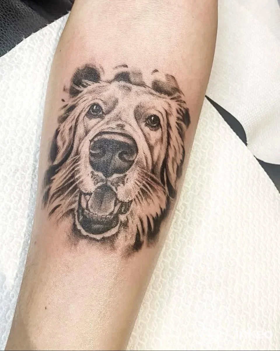 Tatuaggio ritratto realistico di un cane sull'avambraccio, realizzato da Francesca Accardo Tattoo Artist a Romito Magra.
