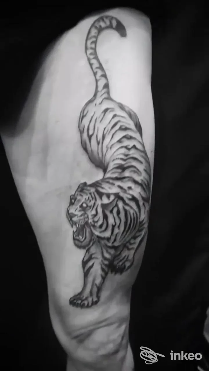 Tatuaggio di una tigre in bianco e nero sull'avambraccio, opera di Franzo Tattoo Family a Rapallo.