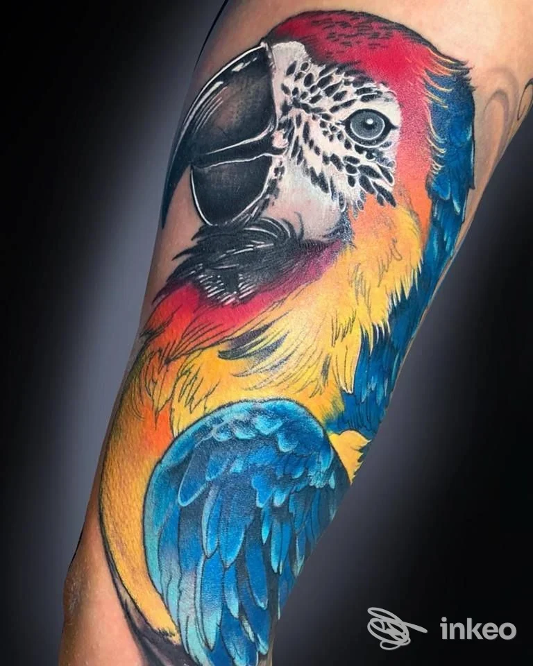 Tatuaggio realistico e colorato di un pappagallo sull'avambraccio, foto del lavoro presso Good Mornink Tattoo Studio vip story, Albisola Superiore.