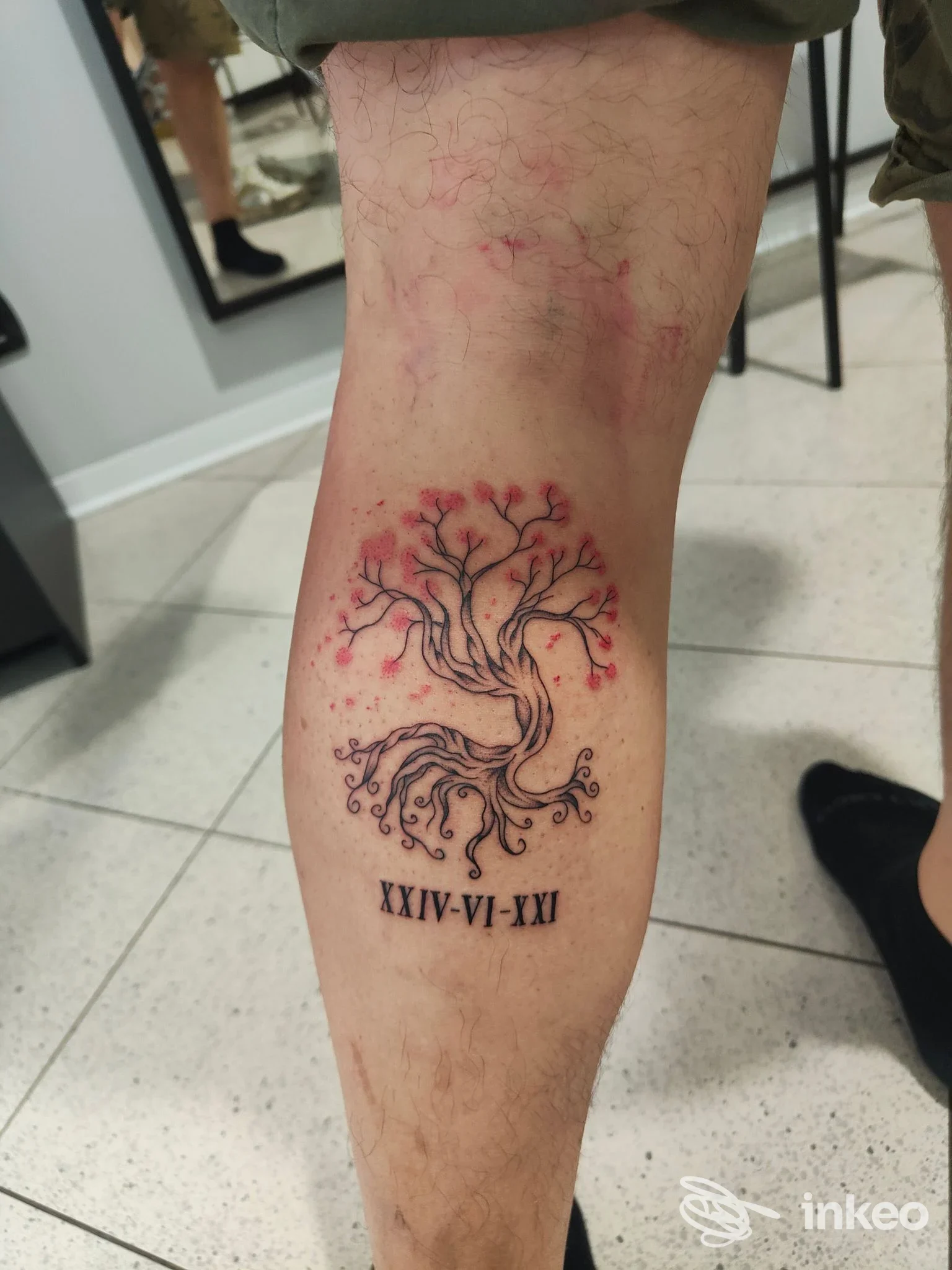 Tatuaggio su polpaccio: albero stilizzato con dettagli rossi e numeri romani, foto dello studio Hari Onago Tattoo Studio, La Spezia.