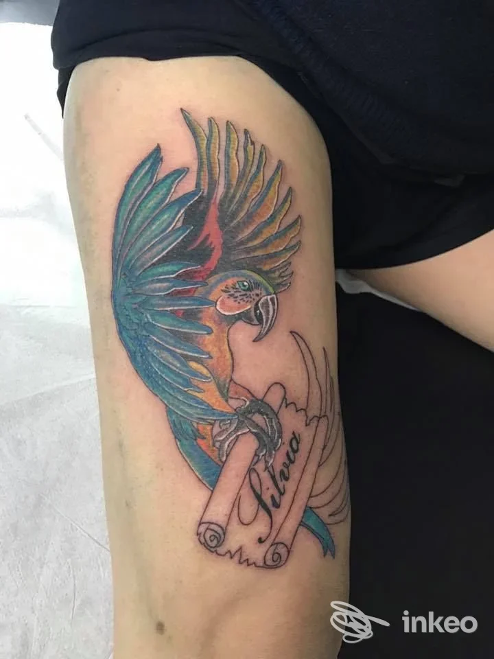 Tatuaggio colorato di un pappagallo sulla parte alta della coscia, foto realizzata da I love Tattoo a Genova, dettaglio del lavoro sul cliente.