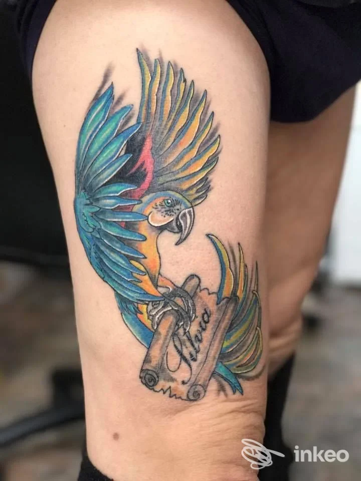 Tatuaggio a colori di un pappagallo con pergamena sull'avambraccio; foto inviata dallo studio I love Tattoo, Genova.