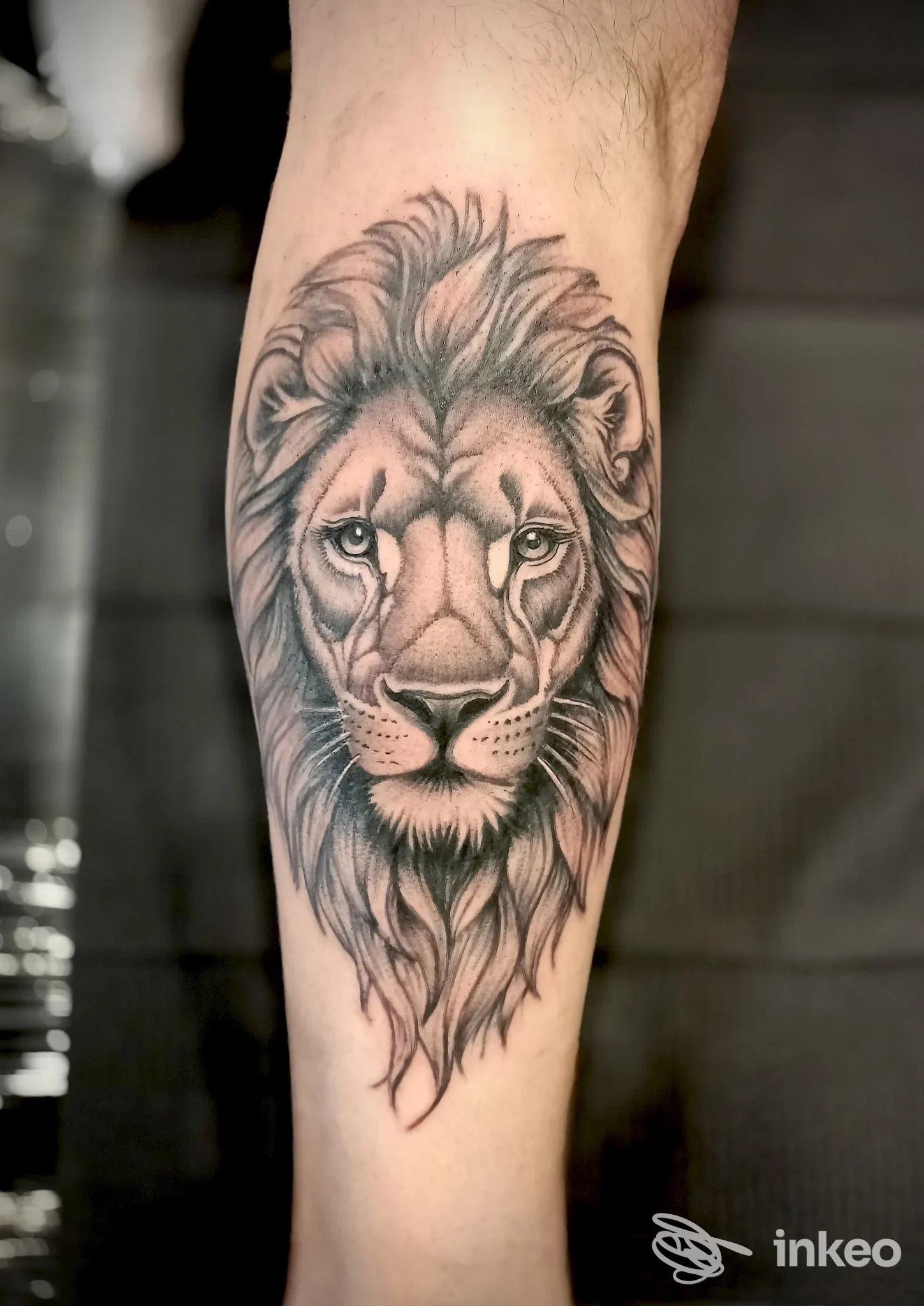 Tatuaggio di un leone sull'avambraccio realizzato da LAVAGNA TATTOO SHOP, Lavagna.