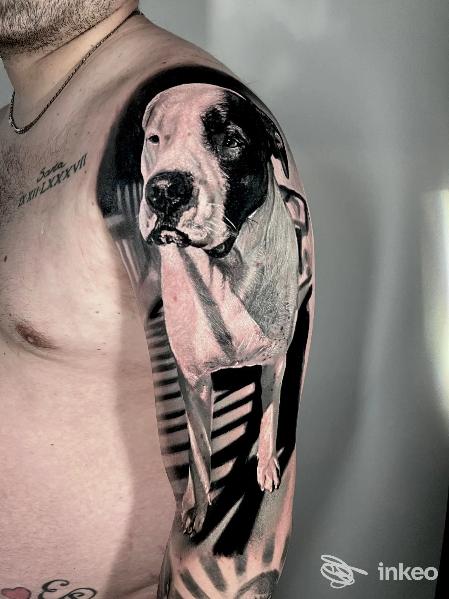 Tatuaggio realistico a mezza manica con ritratto di cane sulla spalla, foto dallo studio MARCO GIOFFRÉ - mark ink tattoo a Genova.