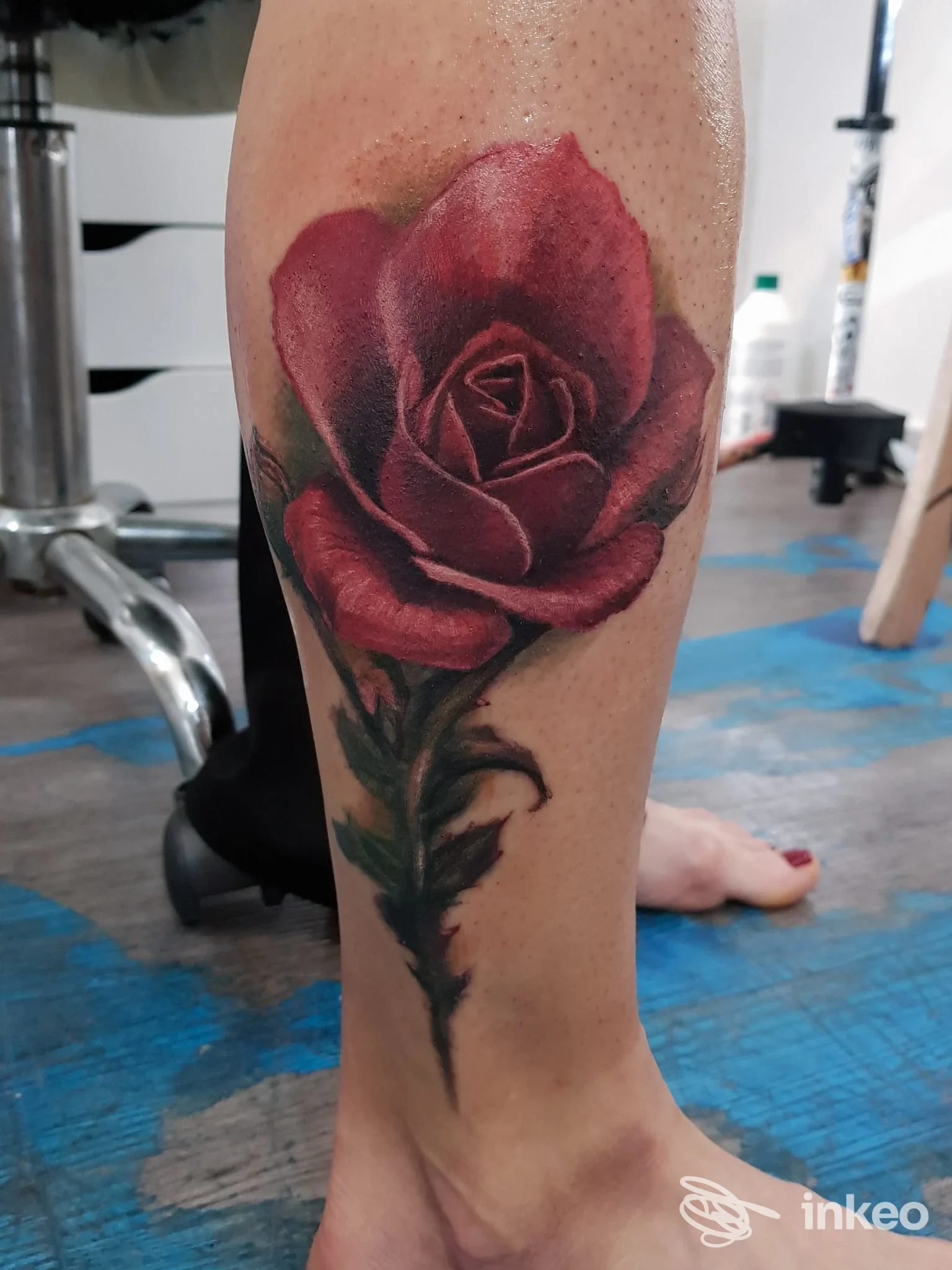 Tatuaggio a rosa rossa sul polpaccio, fotografato nello studio La Grande Bellezza Tattoo Gallery a Genova.