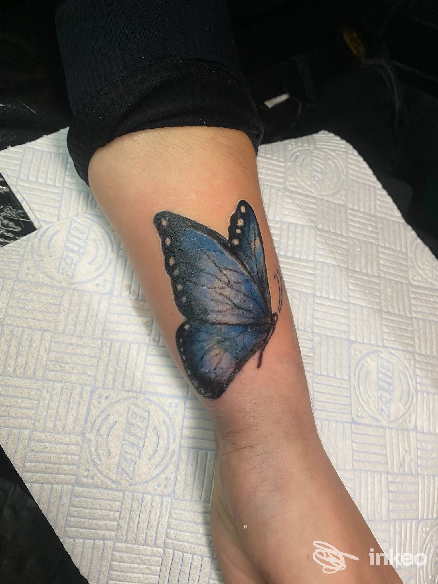 Tatuaggio di una farfalla blu sul lato interno dell'avambraccio, fotografato al New Life Tattoo studio a Genova.