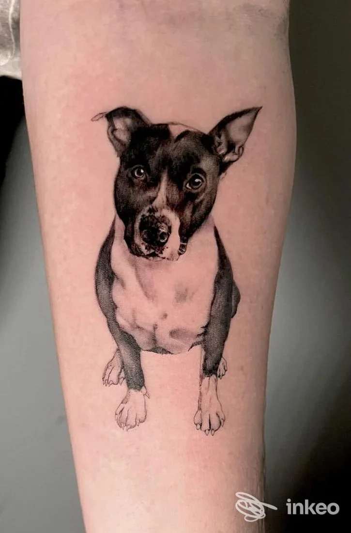 Tatuaggio realistico in bianco e nero di un cane sul lato interno dell'avambraccio, opera condivisa da Next Tattoo a Genova.