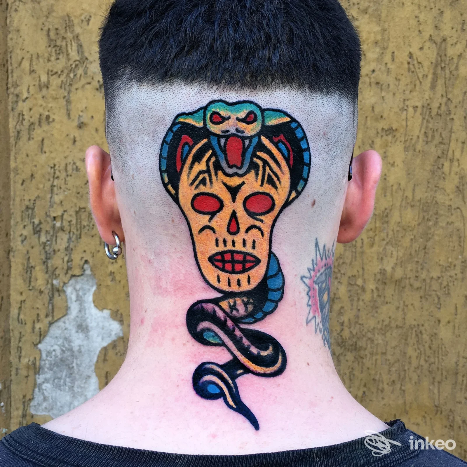 Tatuaggio colorato a forma di testa-serpente sulla nuca di un cliente, foto fornita da Old Inside Tattoo, Genova.