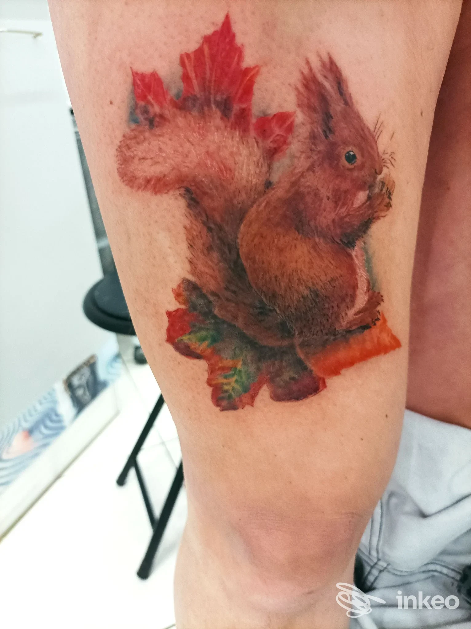 Tatuaggio realistico di uno scoiattolo su coscia, realizzato da Precious Skin Tattoo a San Bartolomeo al Mare.