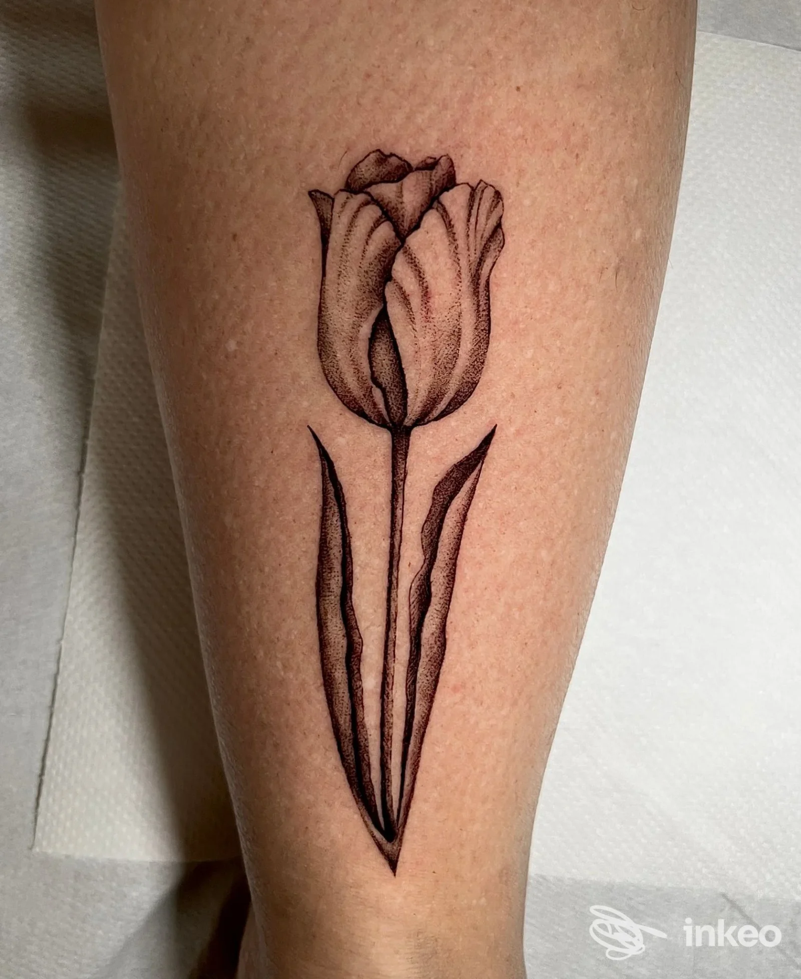 Tatuaggio di tulipano in nero e dotwork sul polpaccio, linea sottile e sfumature, eseguito da Red Cat Tattoo & Art Gallery, Genova.