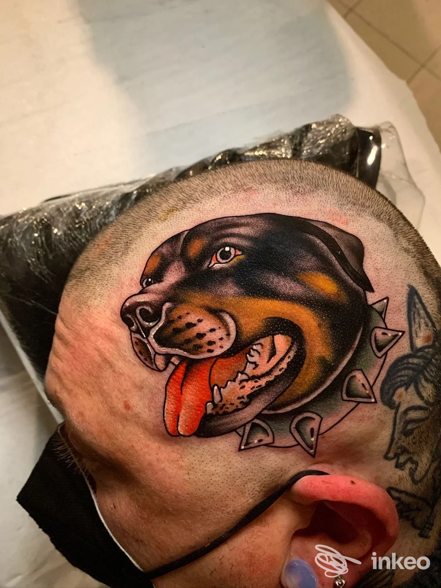 Tatuaggio colorato a testa rasata con testa di cane sul cuoio capelluto, Sacred Tides Tattoo, La Spezia.