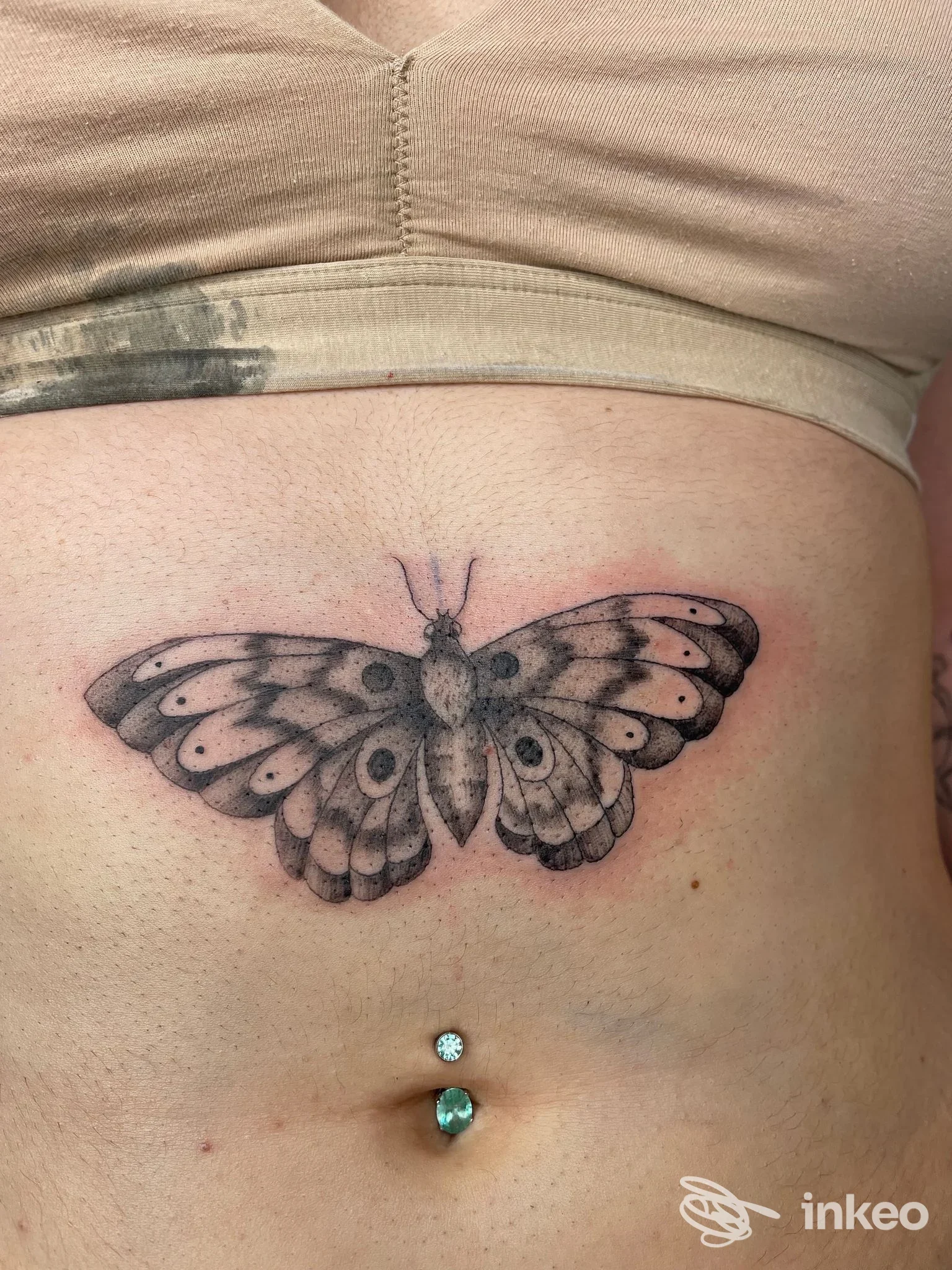 Tatuaggio a forma di farfalla in bianco e nero sull'addome, Simone Garbarino Tattoo, Gattorna.