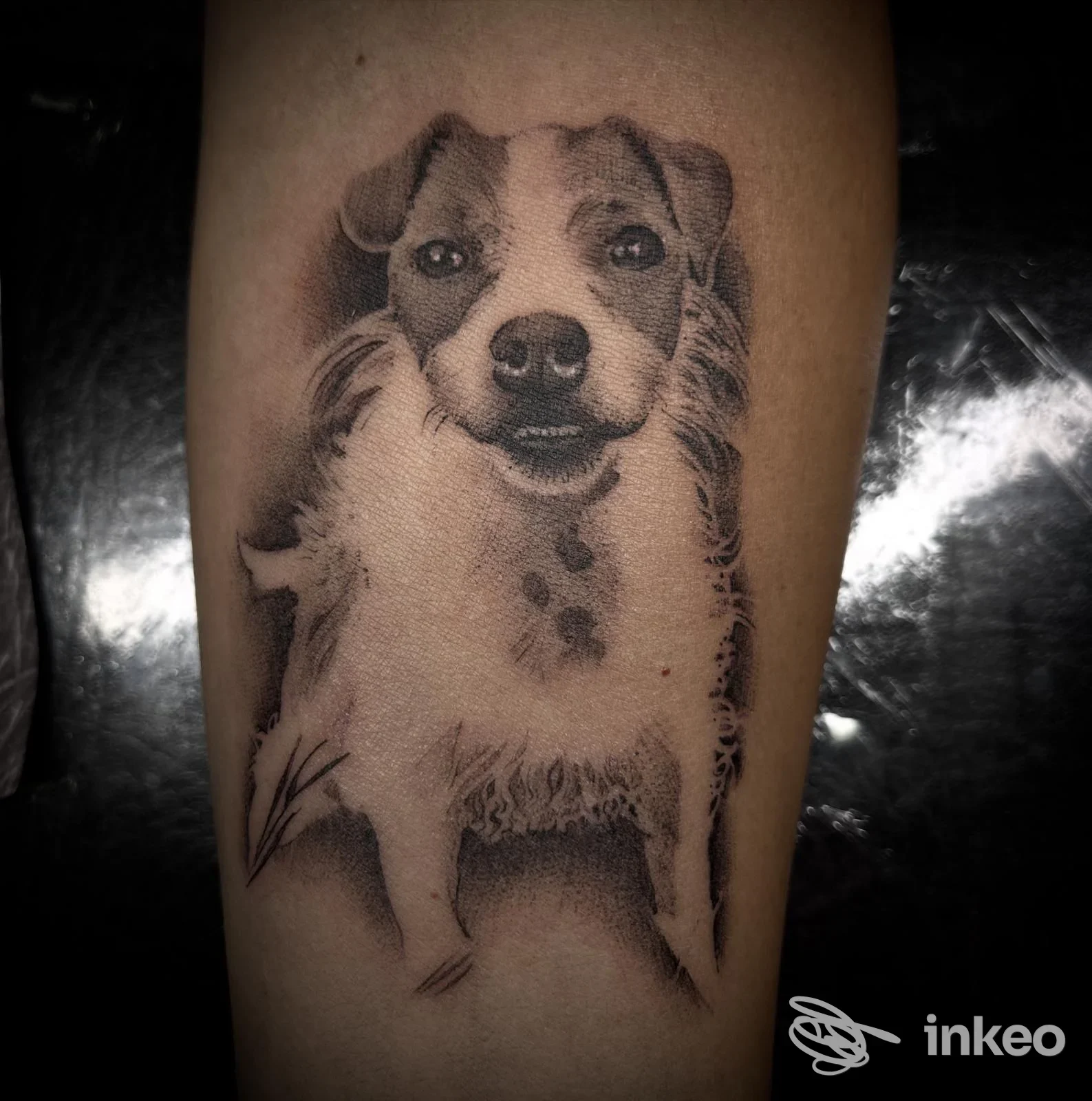Tattoo realistico su pelle raffigurante un cane, realizzato da Guz Tattoo; polpaccio visibile, tonalità in bianco e nero.