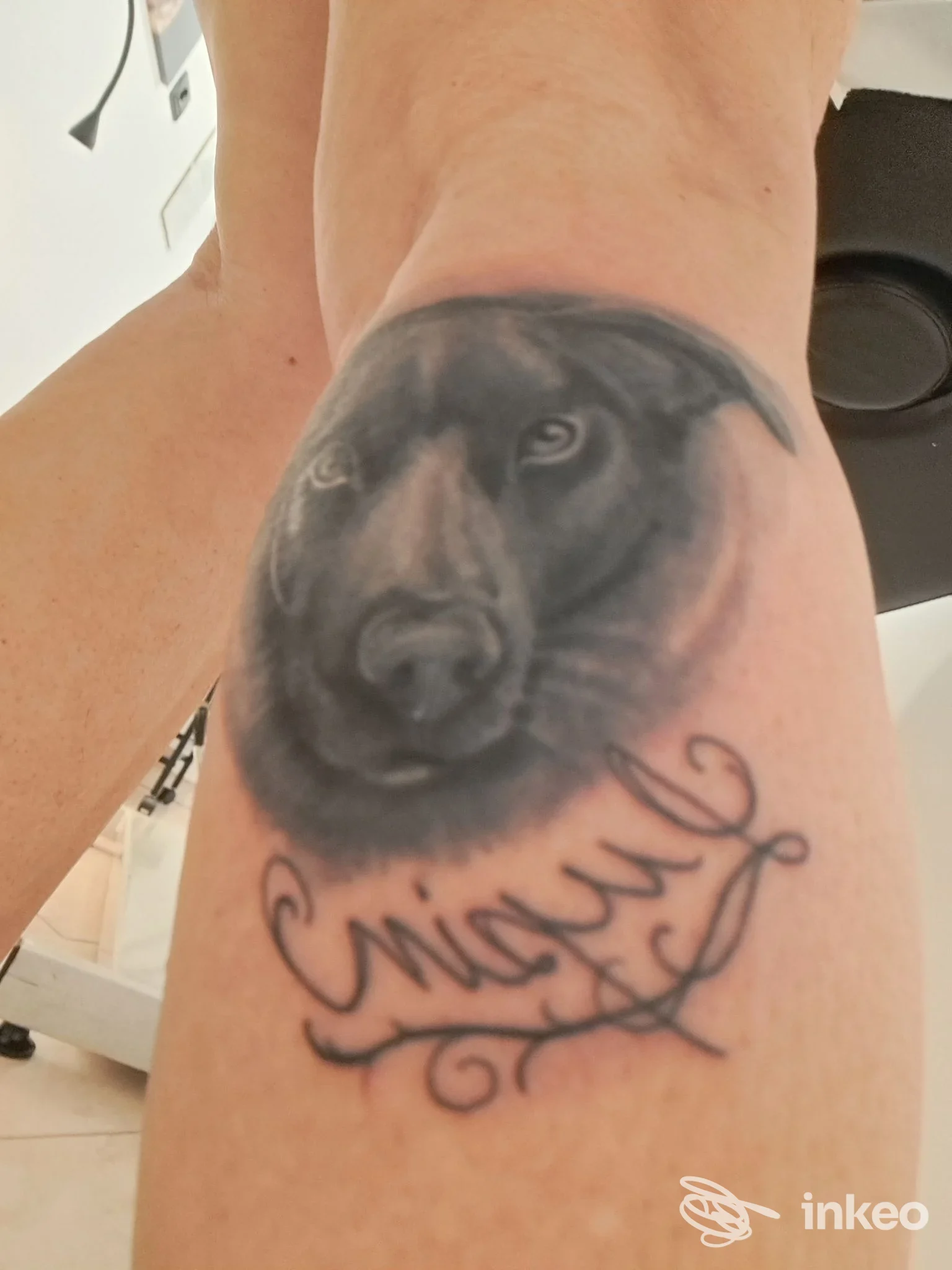 Tatuaggio realistico di volto di cane con lettering sull'avambraccio, foto condivisa da Stranger Skin Tattoo a Genova.