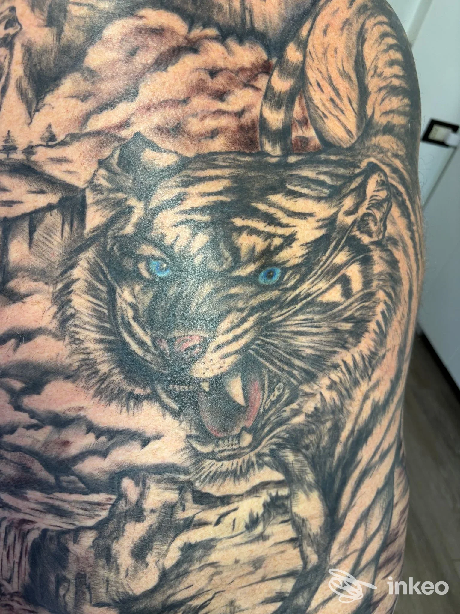 Tatuaggio realistico a figura intera di una tigre ruggente sul fianco/torace, foto inviata da Stewie Art Tattoo, Genova.
