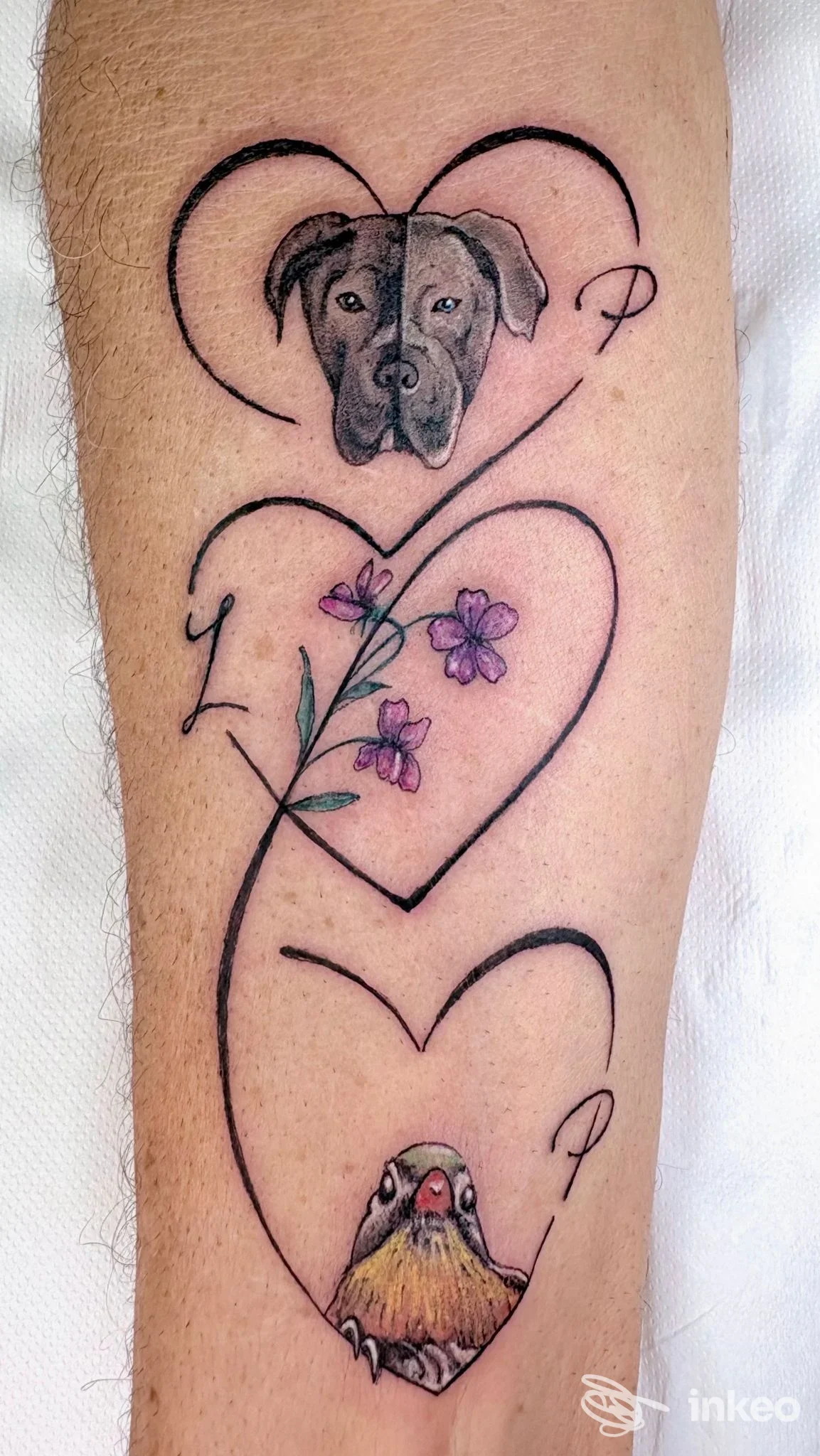 Tatuaggio sull'avambraccio con tre cuori contenenti un muso di cane, fiori rosa e un uccellino — Stewie Art Tattoo, Genova.