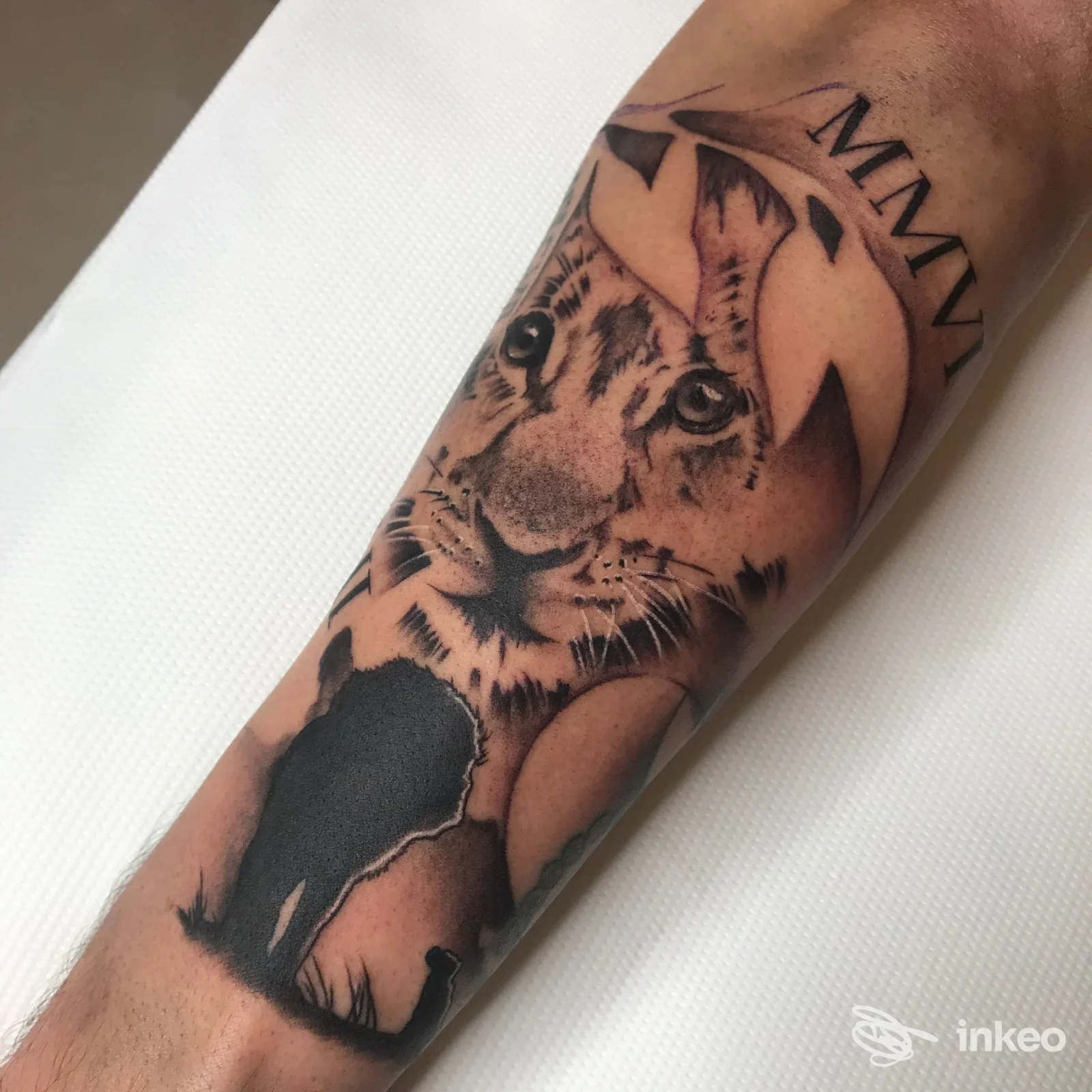 Avambraccio con tatuaggio realistico di tigre e silhouette di elefante con numeri romani, lavoro da Temple Tattoo, Genova.