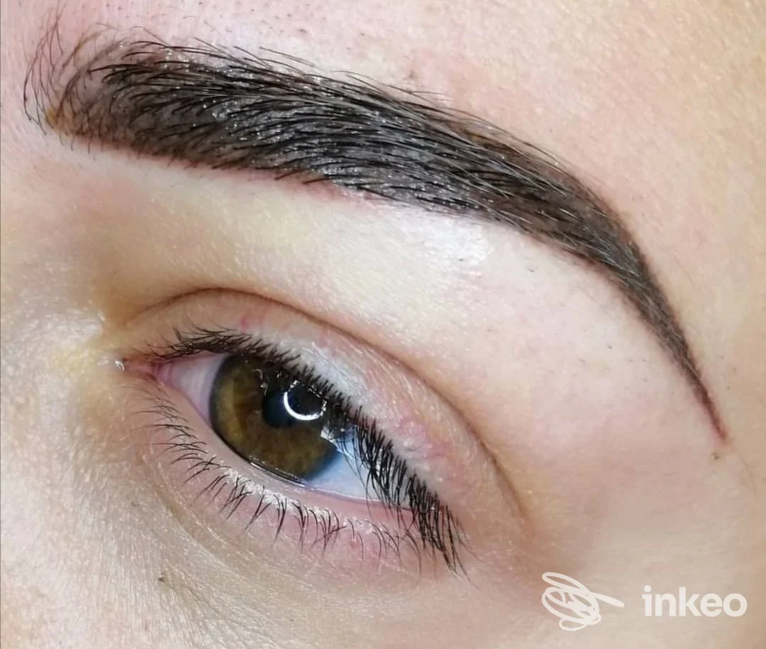 Primo piano di sopracciglio micropigmentato su occhio marrone dopo trattamento — Ilaria Eratostene Permanent Make Up, Genova