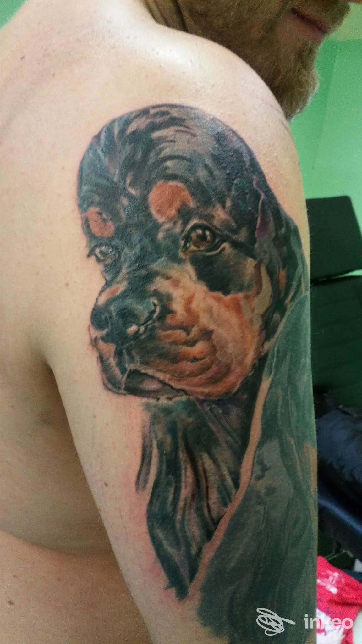 Tatuaggio ritratto di cane sulla spalla eseguito da Andrea Caso - Baby Skull Tattoo, Pavona.