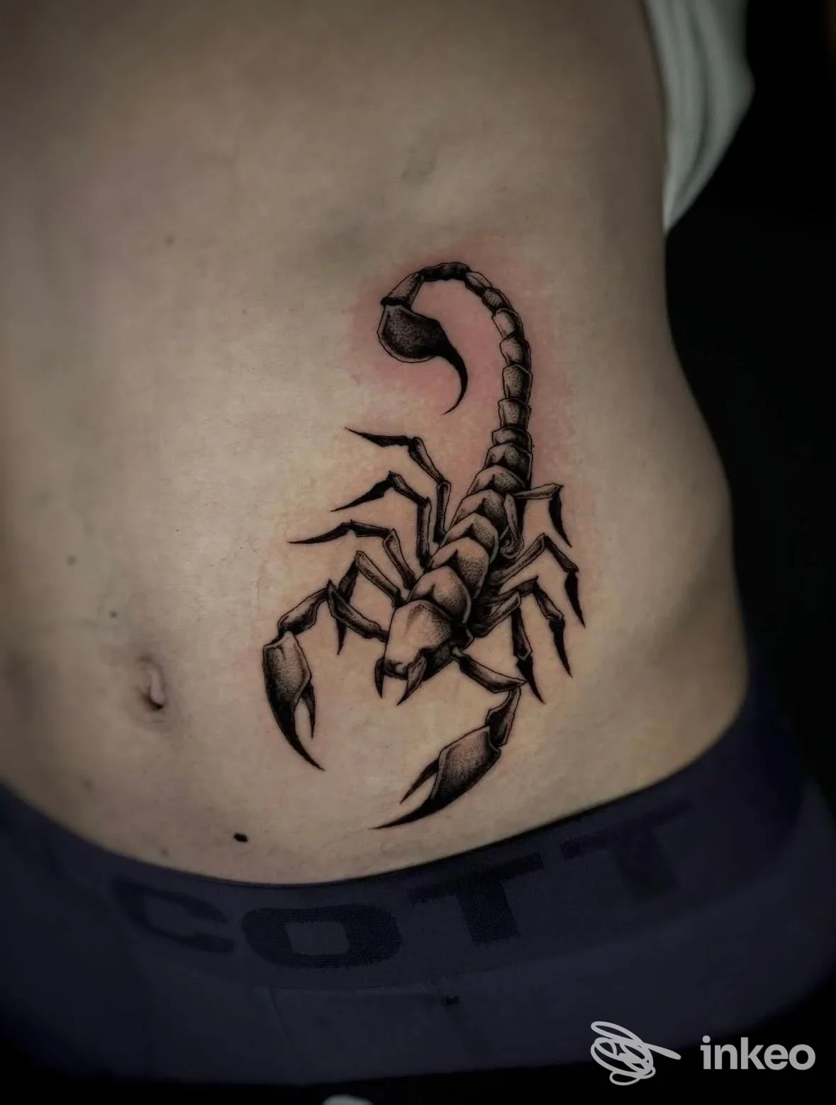Tattoo realistico di scorpione su addome, realizzato da Only for lovers tattoo a Treviolo, stile linee nette e shading contrastante.