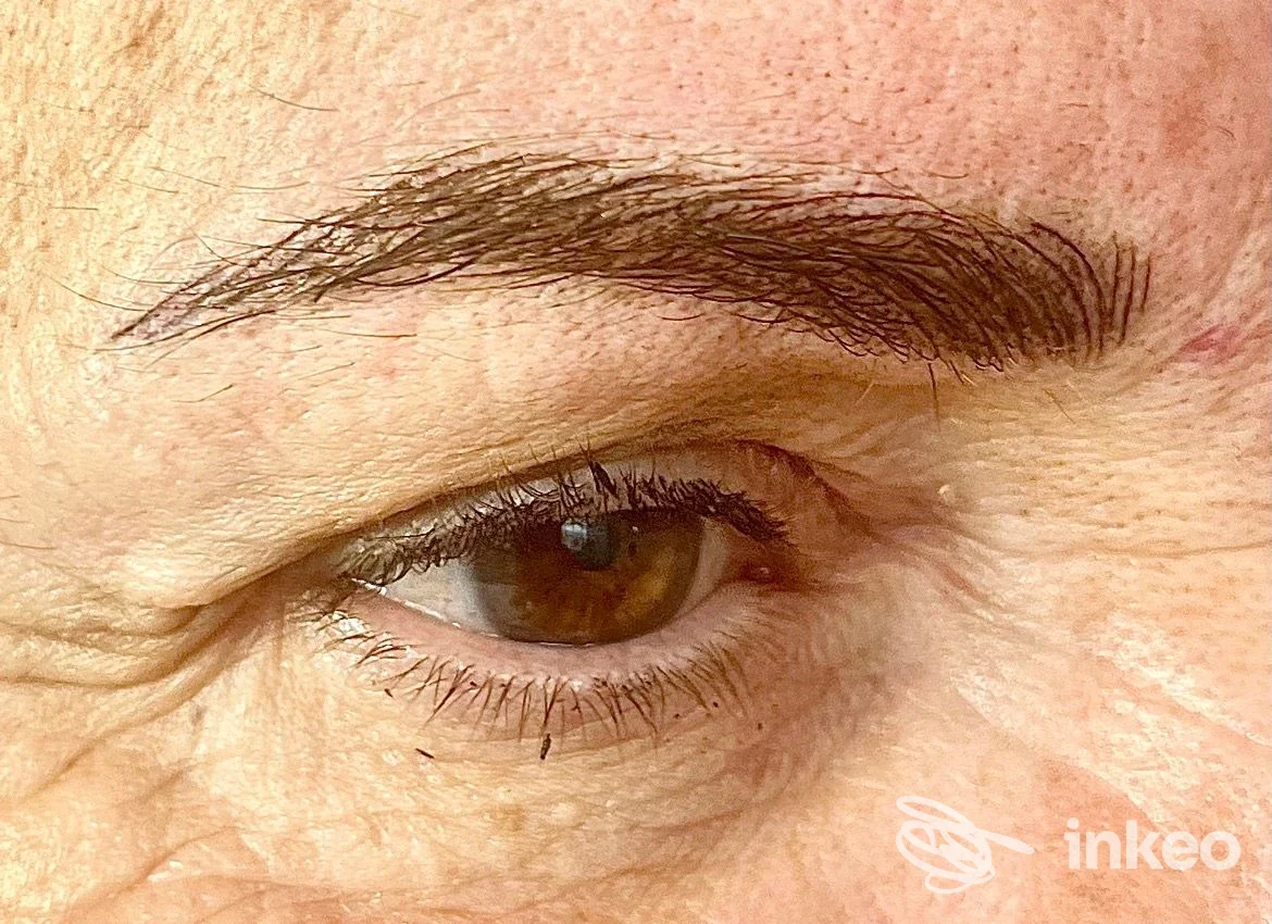 Primo piano di sopracciglia micropigmentate e occhio, lavoro mostrato dallo Studio di Tricopigmentazione e Trucco Permanente di Francesca Bardi a Castelnuovo Magra.