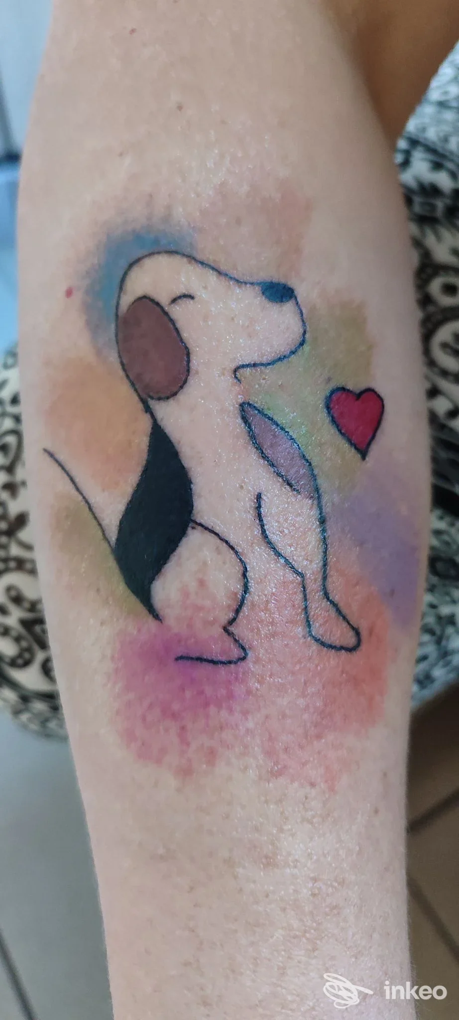 Tatuaggio colorato di un cane stilizzato con cuore sull'avambraccio, realizzato da Charming by Elena Parvu PMU PRO a Torino.