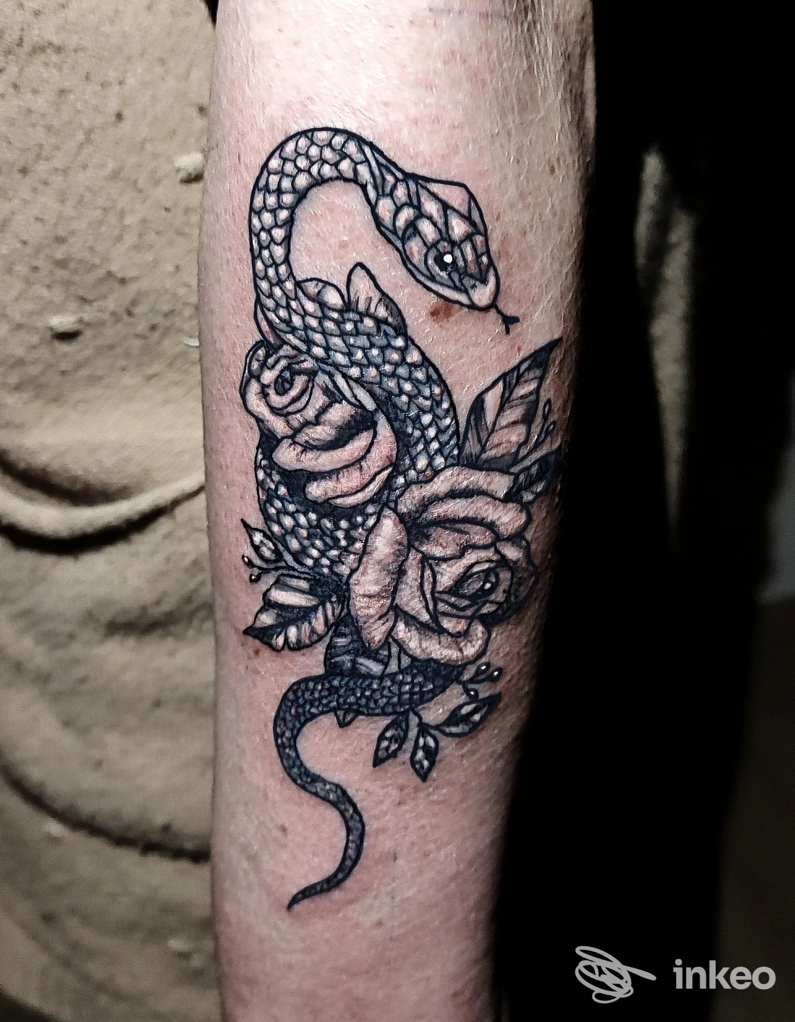 Primo piano di un tatuaggio di serpente avvolto su rose sull'avambraccio, eseguito da Cerbero tattoo studio a Villafranca Piemonte.