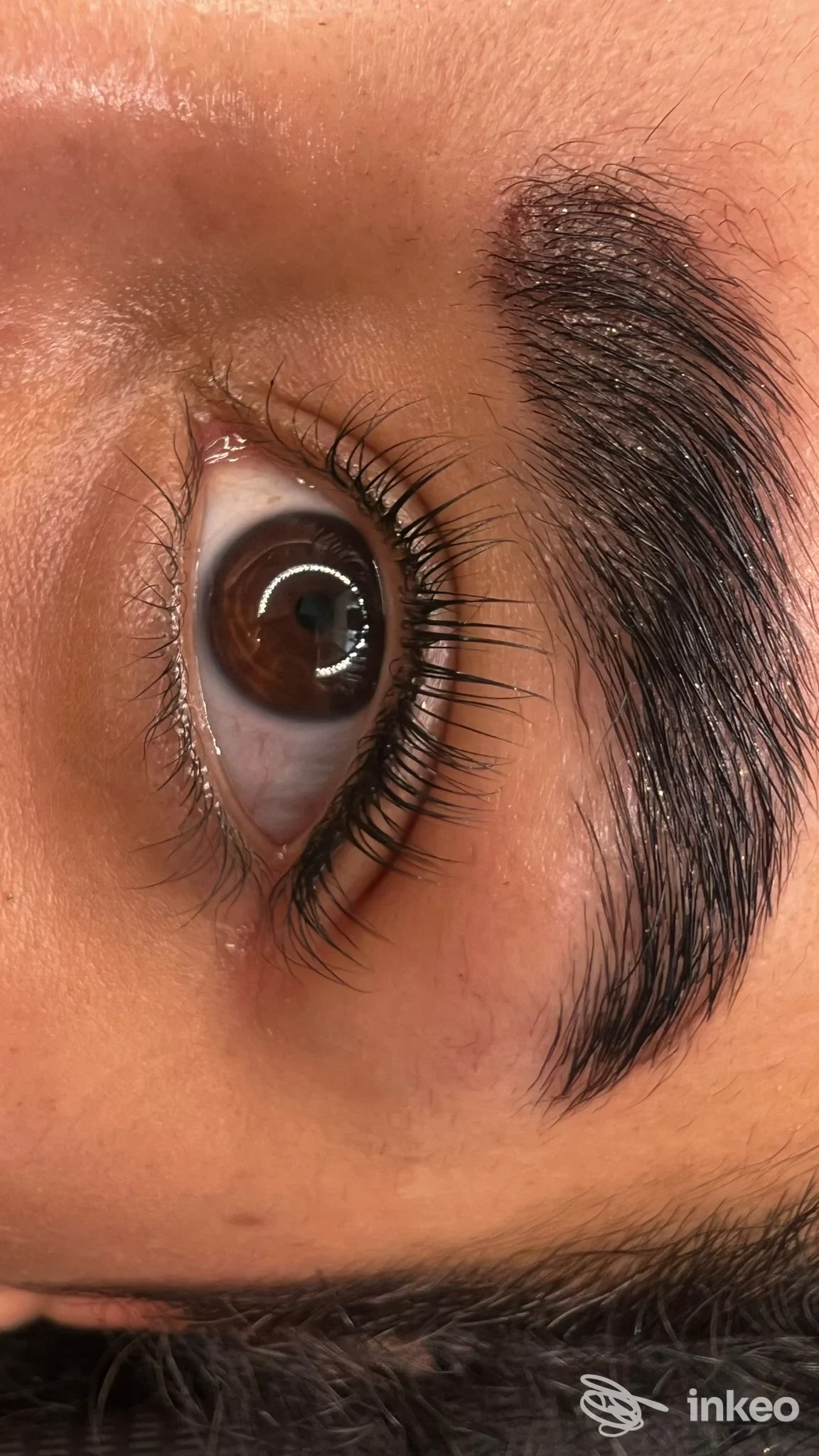 Primo piano di sopracciglio dermopigmentato dopo trattamento, Trucco Permanente Rivoli di Pancrazio Daniela, Collegno.