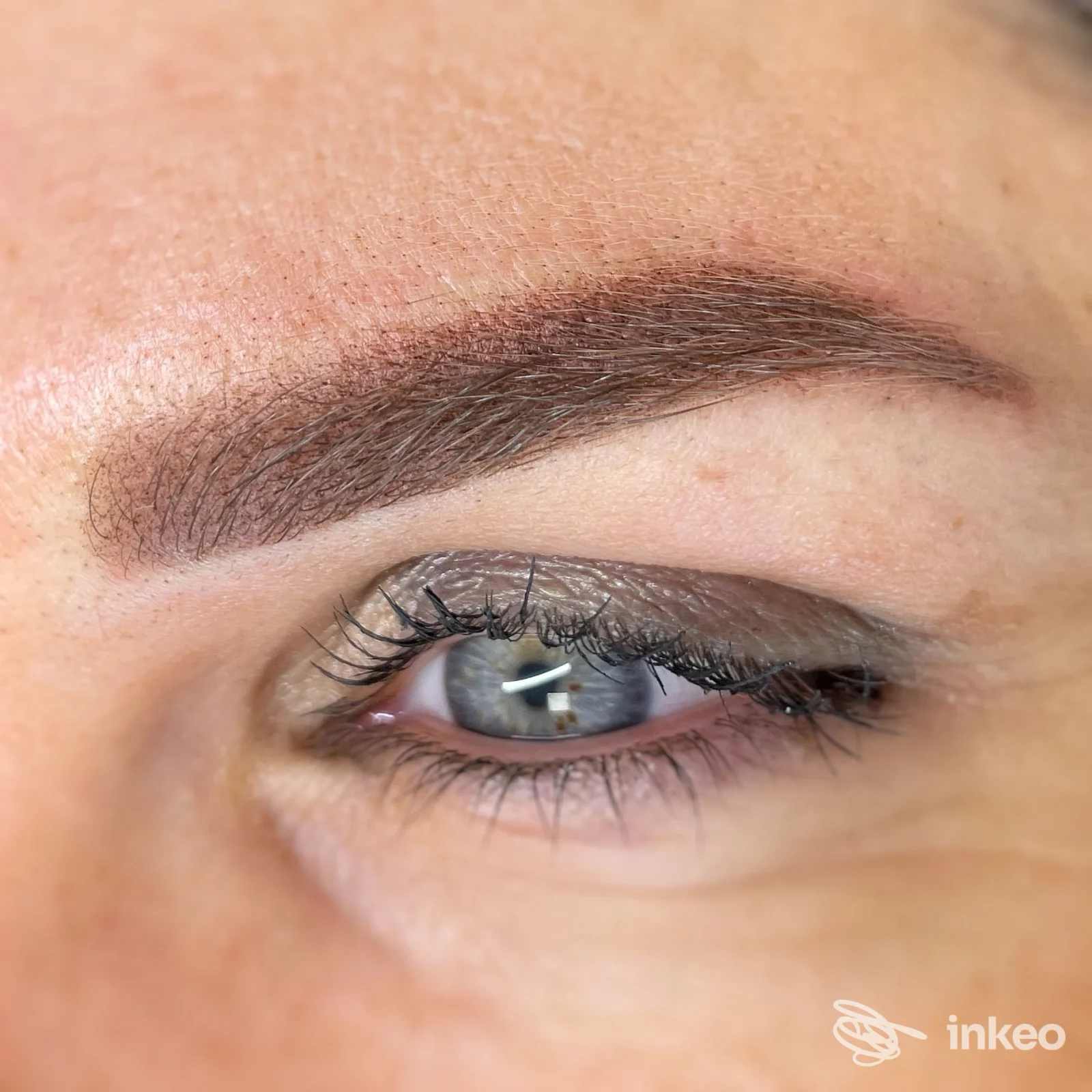 Primo piano di sopracciglio con trucco permanente/dermopigmentazione dopo trattamento, Annadermolab - Trucco Permanente, Torino.
