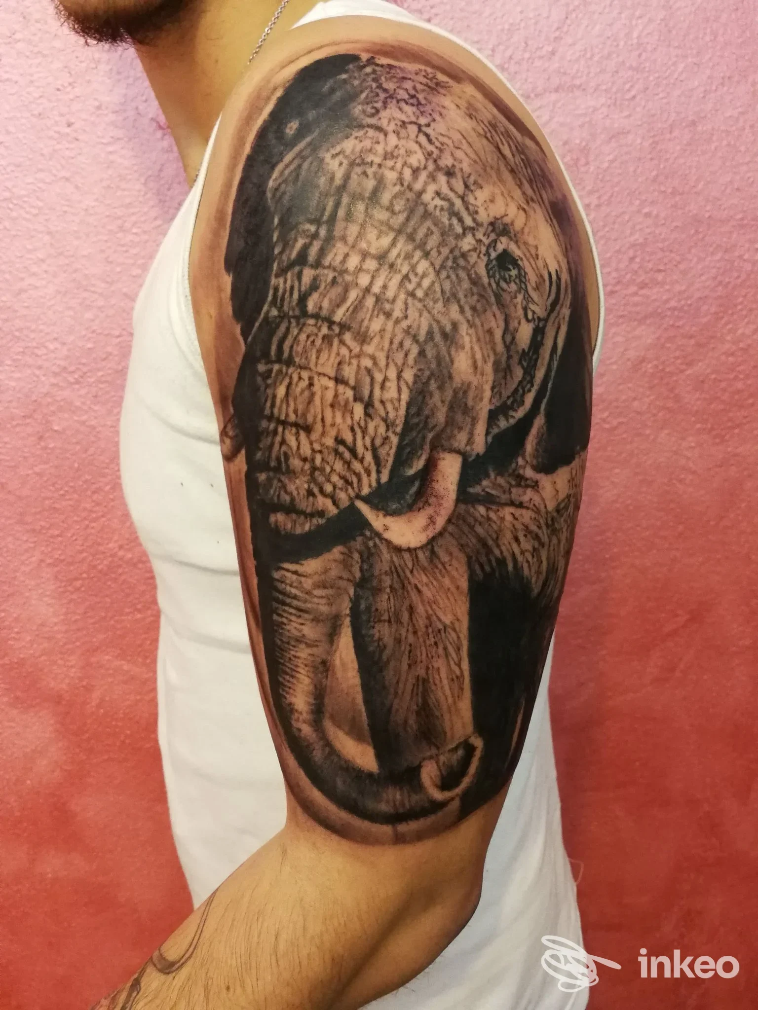 Tatuaggio iperrealistico di elefante su spalla e braccio, opera di Andrea Colaci Bamm Tattoo Artist a Castrignano del Capo.