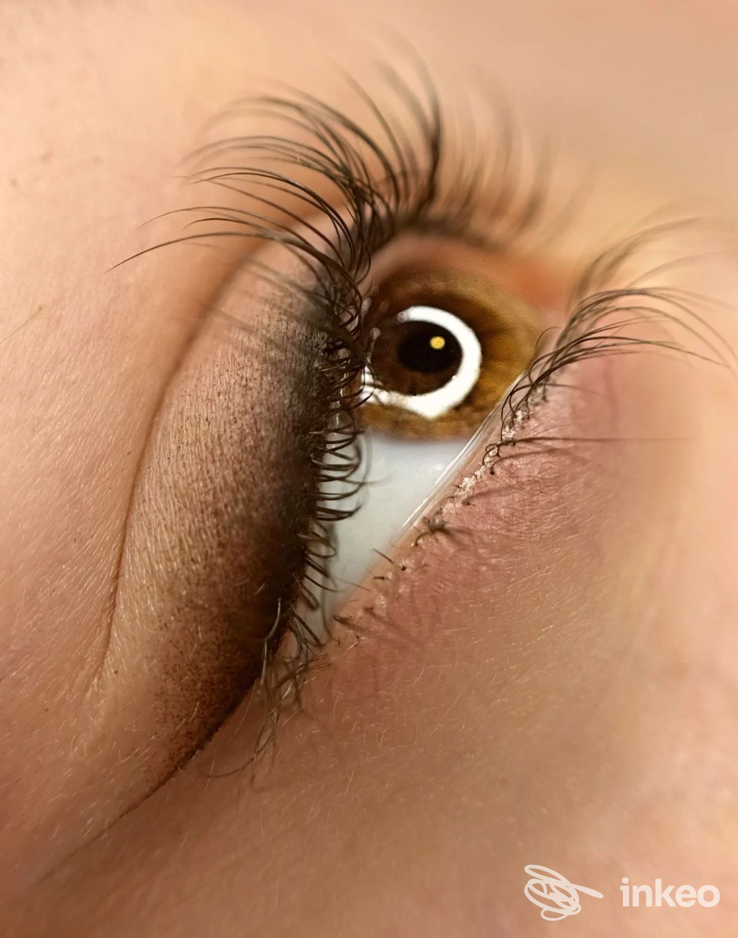 Primo piano di dermopigmentazione eyeliner sulla palpebra, foto di Caterina Moramarco Dermopigmentista e tricopigmentista, Altamura.