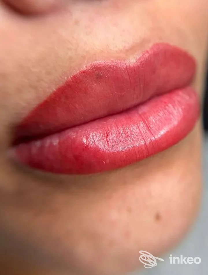 Labbra con trucco permanente eseguito da Lucia Palagi Permanent Makeup, Firenze: dettaglio della pigmentazione e contorno bocca.