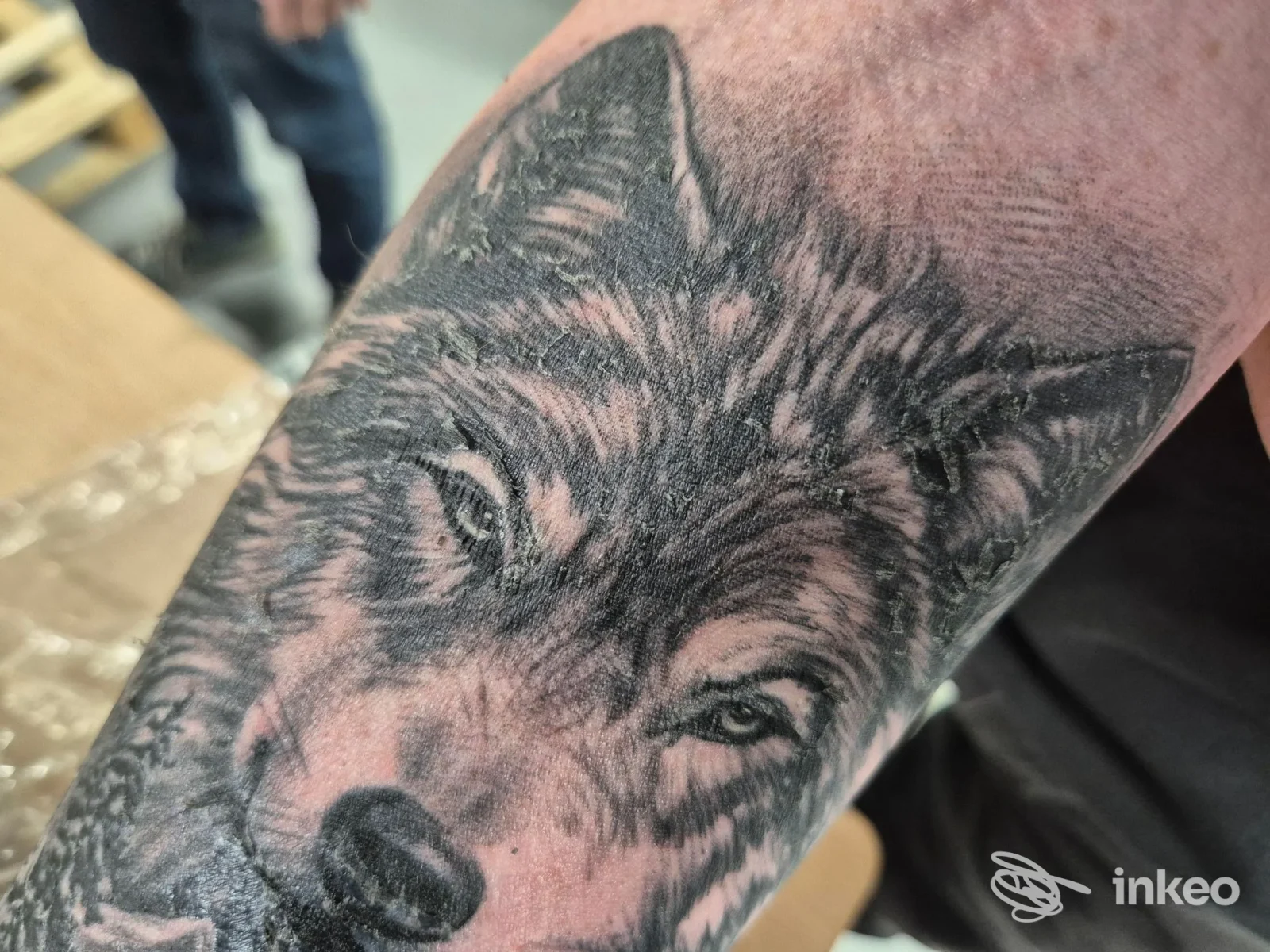 Tatuaggio realistico di un lupo sull’avambraccio, dettagli di pelo nero e grigio visibili sulla pelle.