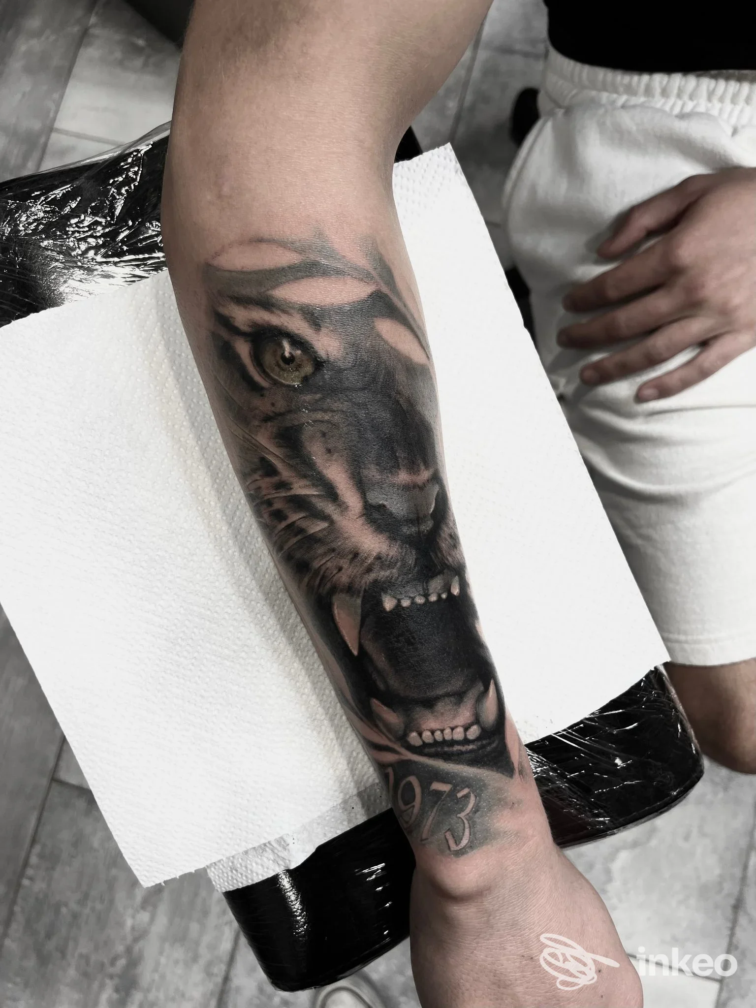 Tatuaggio realistico di testa di tigre sull'avambraccio, foto scattata presso Tredici Lune Tattoo Studio a Firenze.