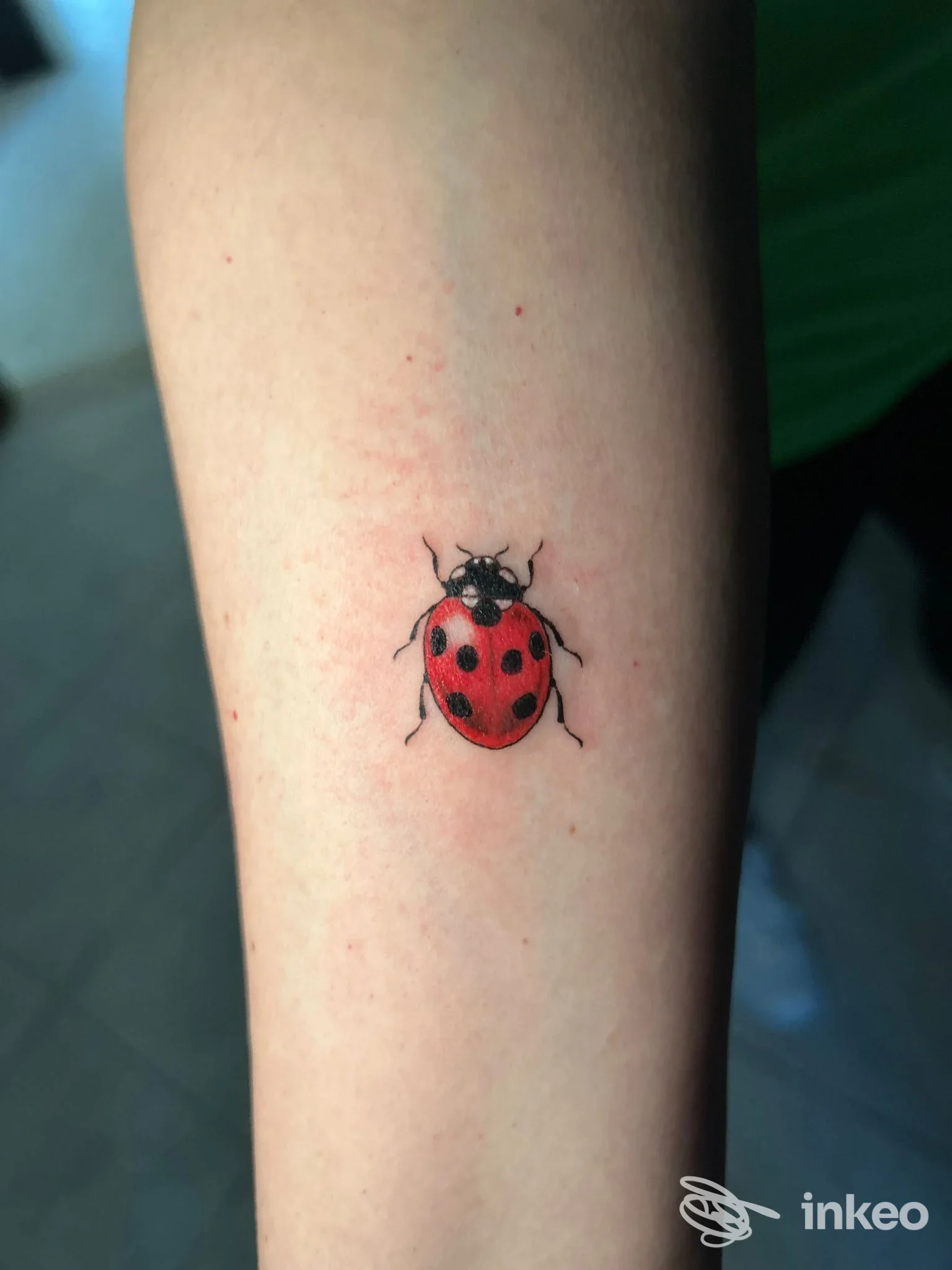 Piccola coccinella tatuata sulla pelle del braccio, colorata rossa e nera, visibile in primo piano.