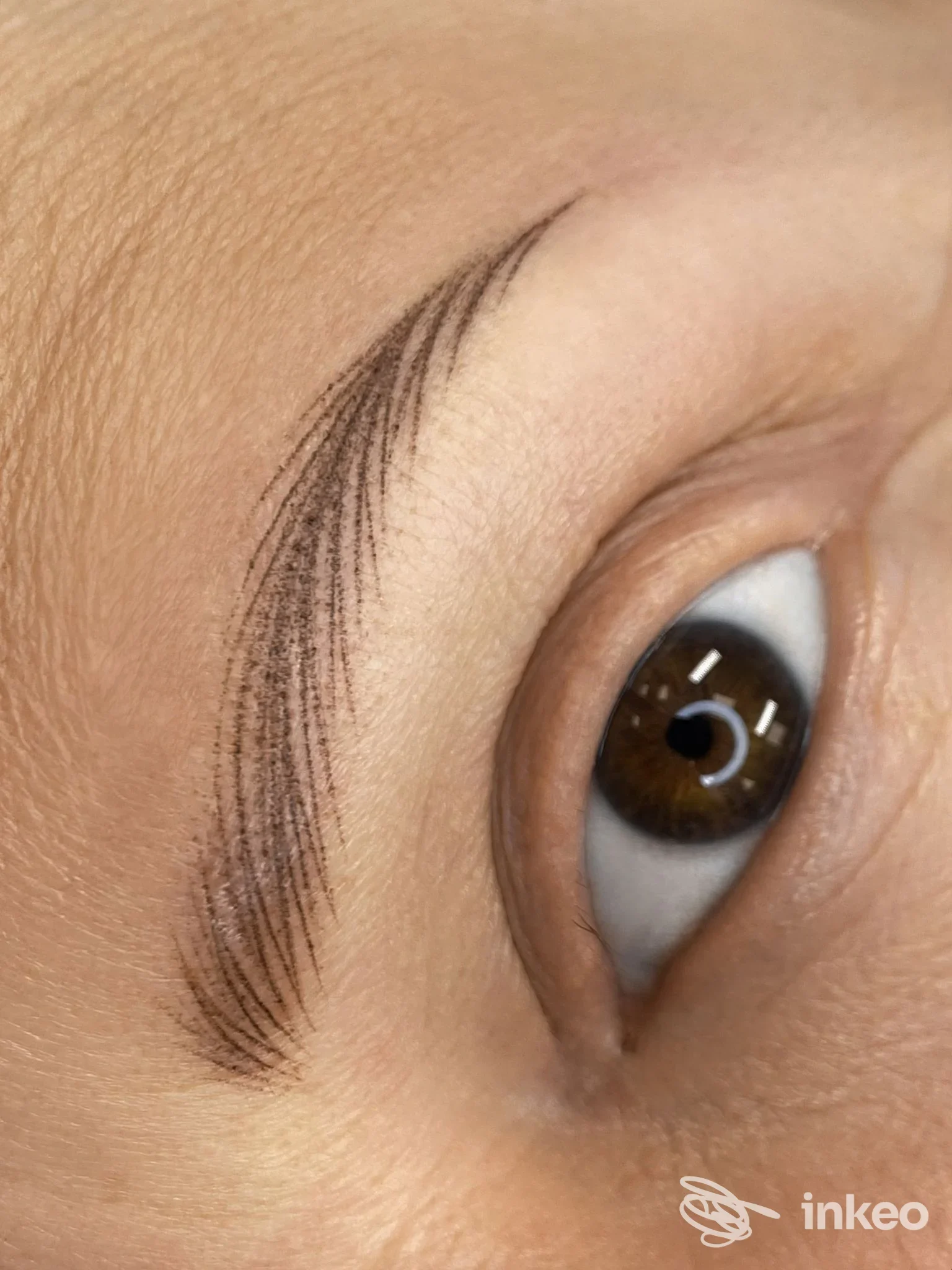 Primo piano di microblading sul sopracciglio, immagine di Elena Busato Permanent Make up a San Martino di Lupari.