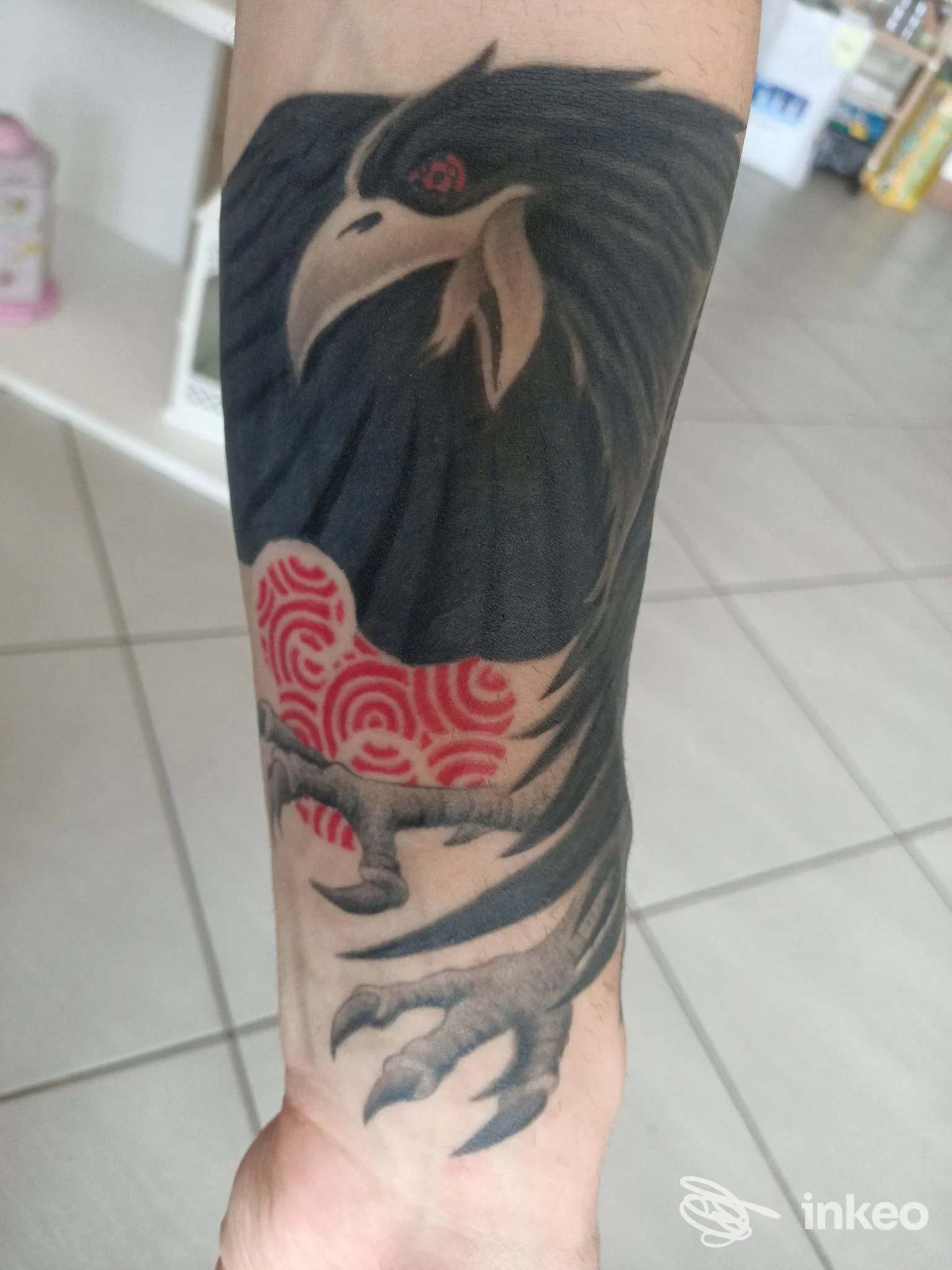 Tatuaggio di corvo stilizzato sull'avambraccio con motivi rossi; foto del lavoro di Matteo Mosca Tattoo Studio a Venezia.