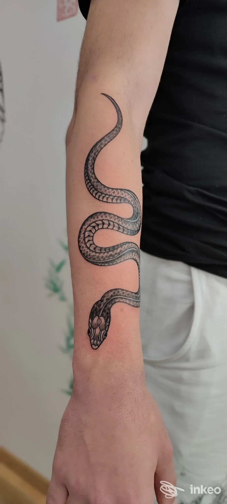 Serpente nero tatuato sull'avambraccio, fotografia inviata da PERFECT CRIME TATTOO, San Stino di Livenza.