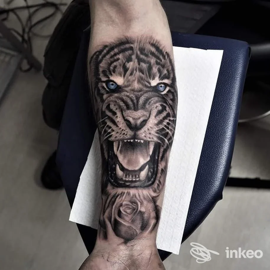 Tatuaggio su avambraccio: tigre ruggente con occhi azzurri e una rosa sotto, foto dello studio To Be Tattoo a Montebelluna.