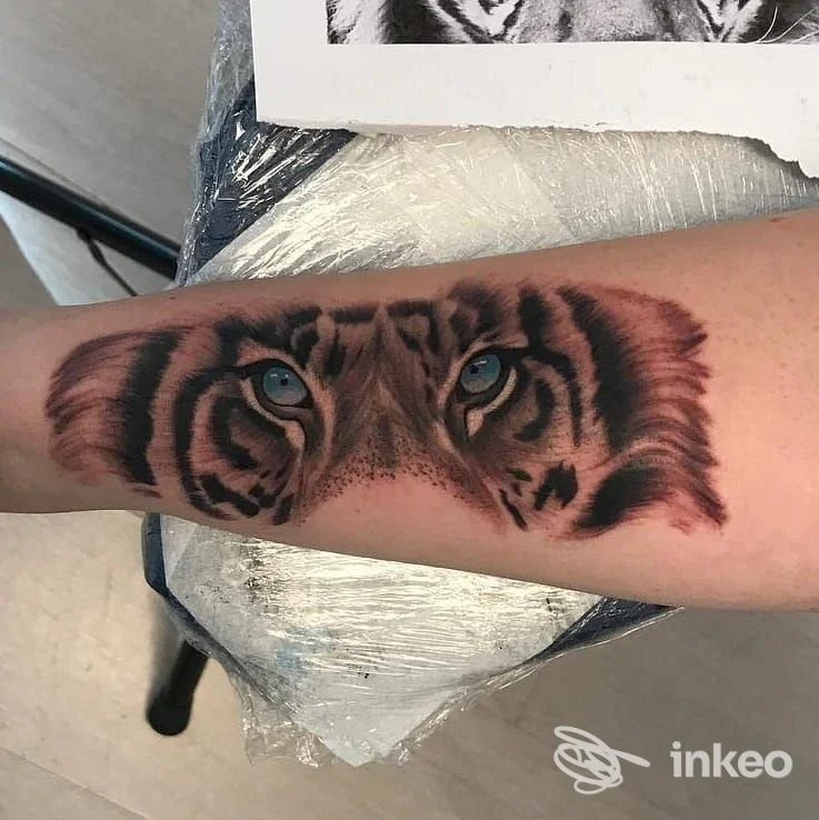 Tatuaggio realistico di occhi di tigre sull'avambraccio, foto inviata da To Be Tattoo a Montebelluna.