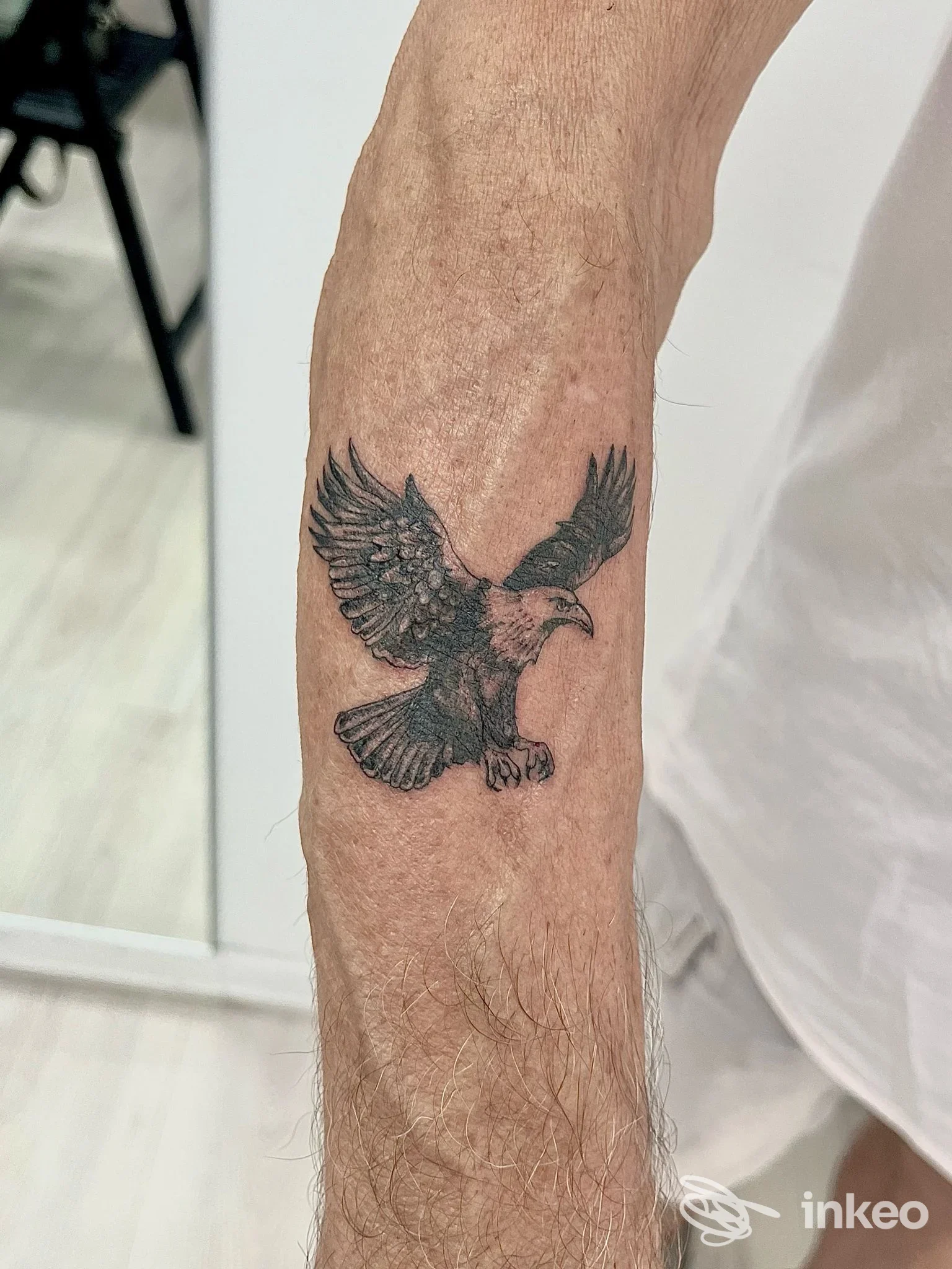 Tatuaggio di un uccello in volo sull'avambraccio, foto di Deeper Think Tattoo a Urbino.