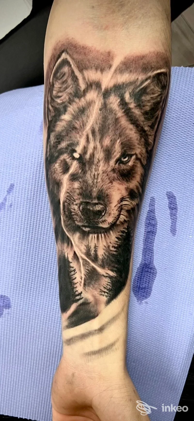 Tatuaggio realistico in bianco e nero di una testa di lupo sull'avambraccio, Diletta Tattoo Vision, Tolentino.