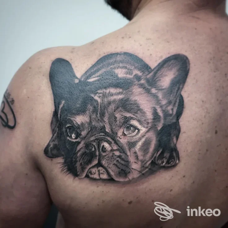 Grande tatuaggio realistico in bianco e nero di un bulldog sulla spalla e parte superiore della schiena, Doctor D StyleTattoo Wellness, Jesi.