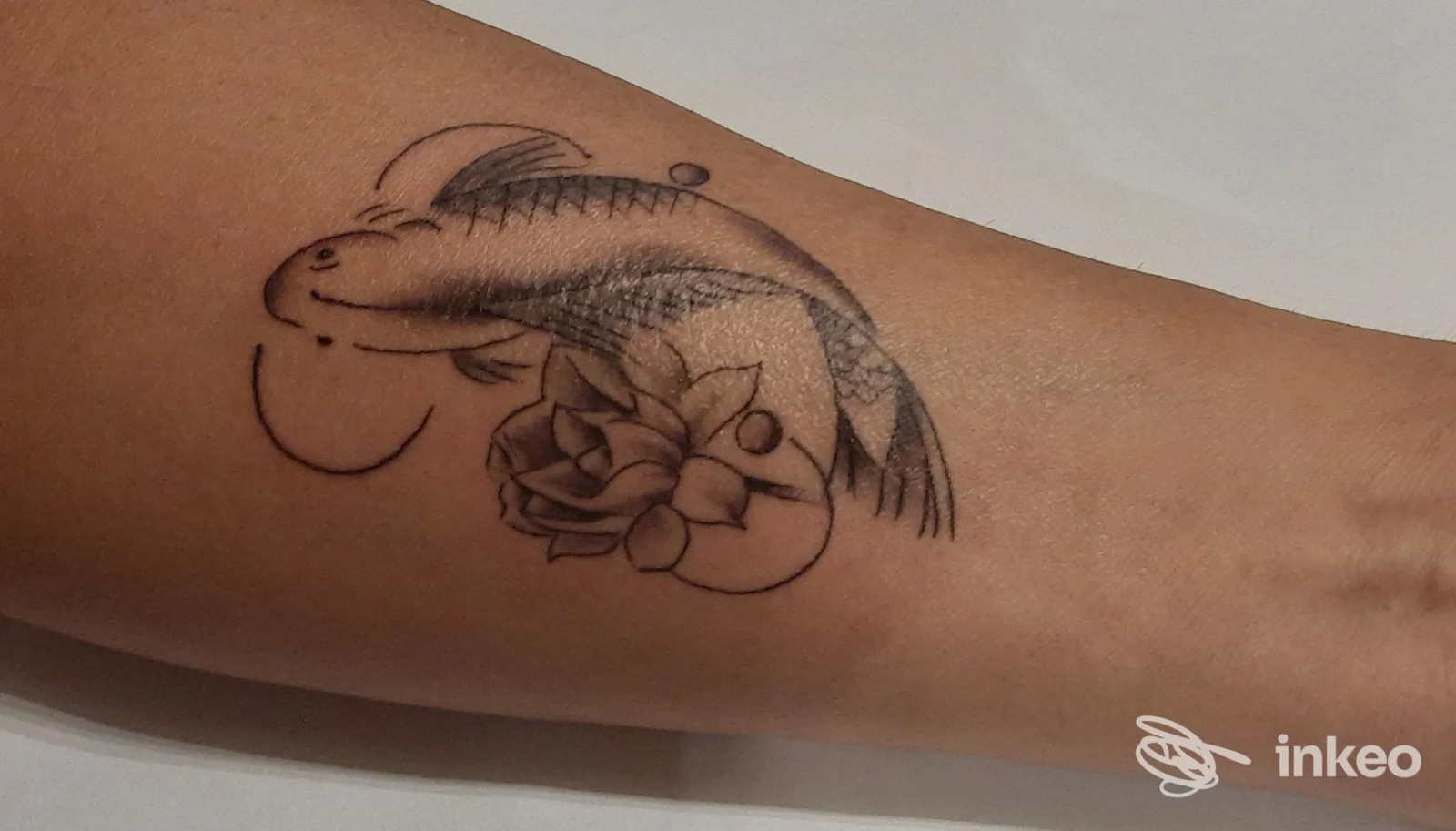 Tatuaggio su avambraccio di carpa koi con rosa e sfumature puntinate, realizzato da Dok Tattoo a Villa San Giuseppe.