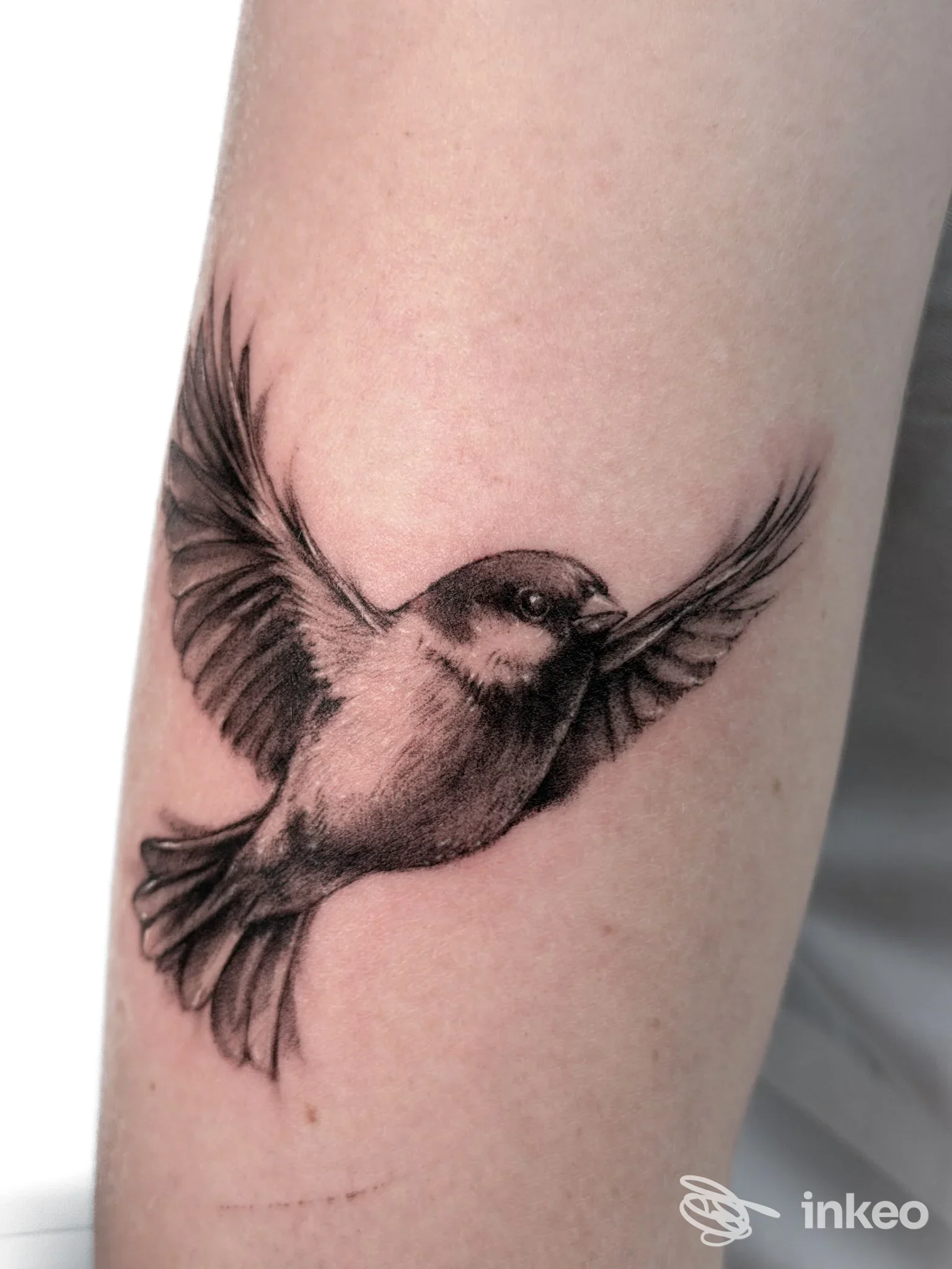 Tatuaggio realistico di un uccellino in volo sull'avambraccio, foto fornita da Eggwhite tattoo studio, San Benedetto del Tronto.