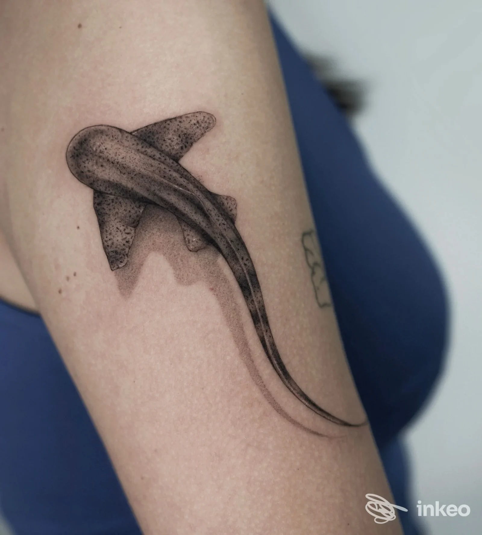 Tatuaggio dotwork di una razza sul braccio superiore, fotografato presso Eggwhite tattoo studio a San Benedetto del Tronto.