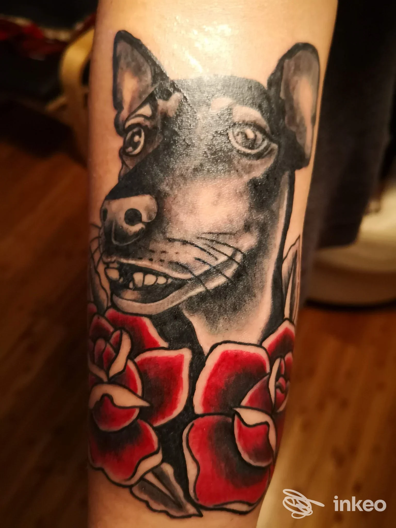 Tatuaggio su avambraccio con testa di cane in bianco e nero e rose rosse, immagine fornita da Fun House Tattoo Shop, Macerata.