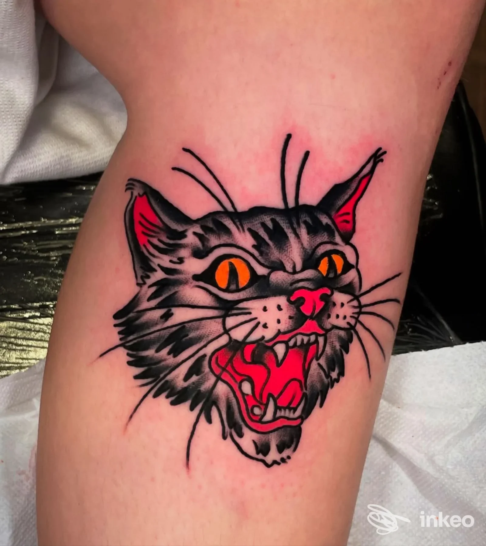 Testa di gatto tatuata su coscia, foto fornita da Homeward Tattoo Senigallia a Senigallia.