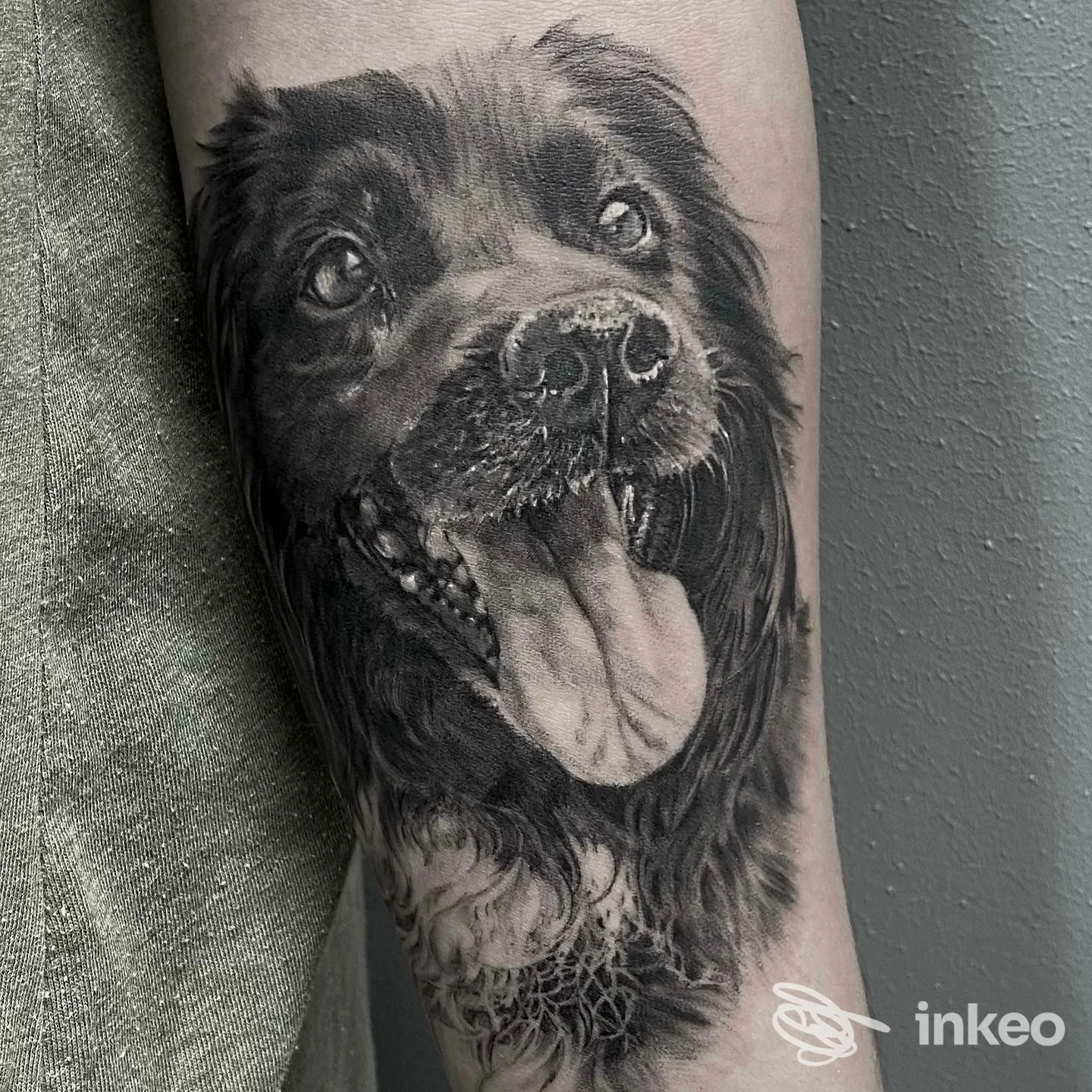 Tatuaggio realistico in bianco e nero raffigurante un cane sull'avambraccio, realizzato da Ink River Artigiani Tatuatori a Pesaro.